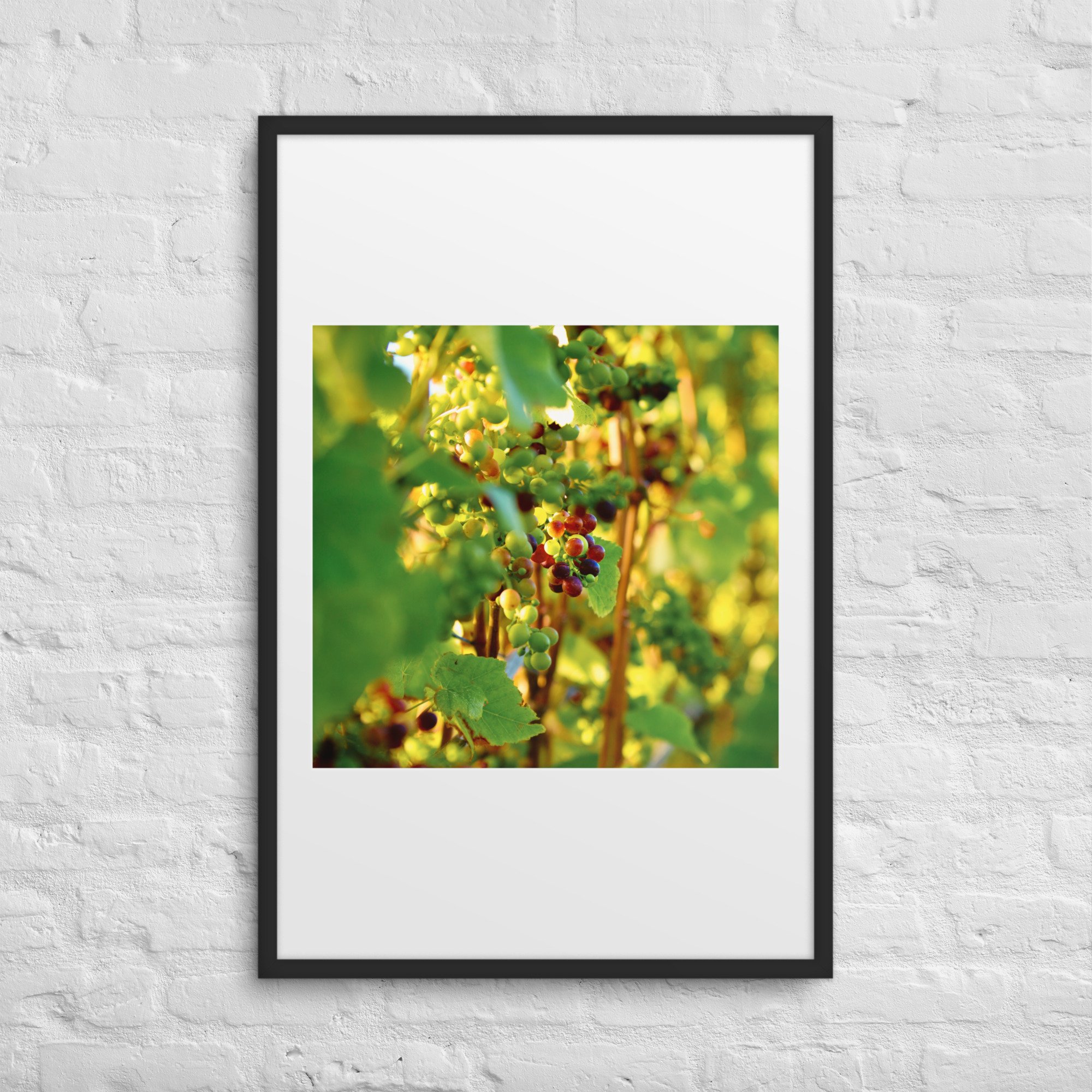 matte-paper-framed-poster-with-mat-(in)-black-24x36-front-672a5cac21e88.jpg