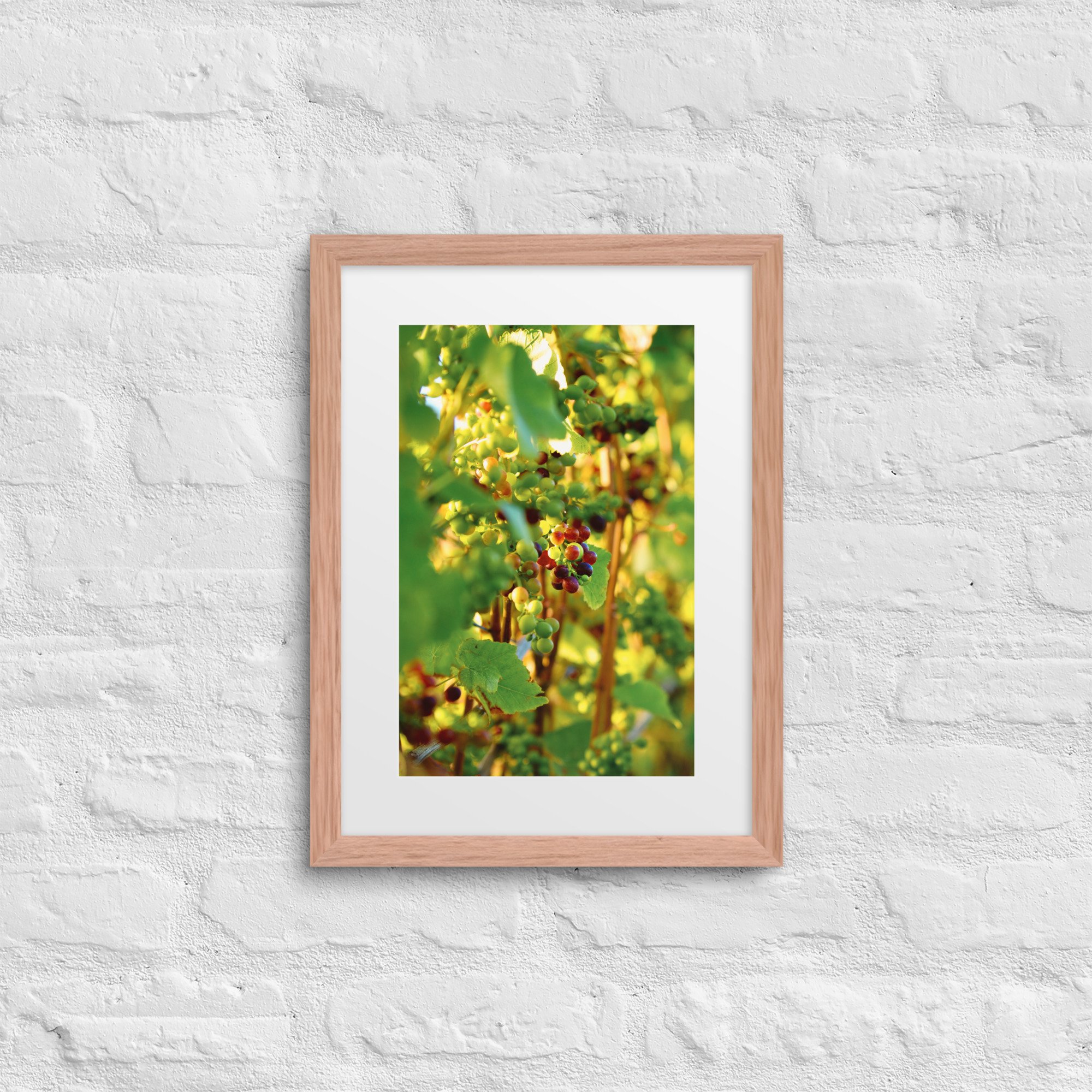 matte-paper-framed-poster-with-mat-(in)-red-oak-12x16-front-672a5cac21f16.jpg
