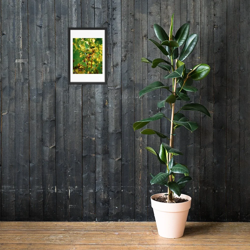 enhanced-matte-paper-framed-poster-(in)-black-12x18-lifestyle-2-672a5db3a5442.jpg