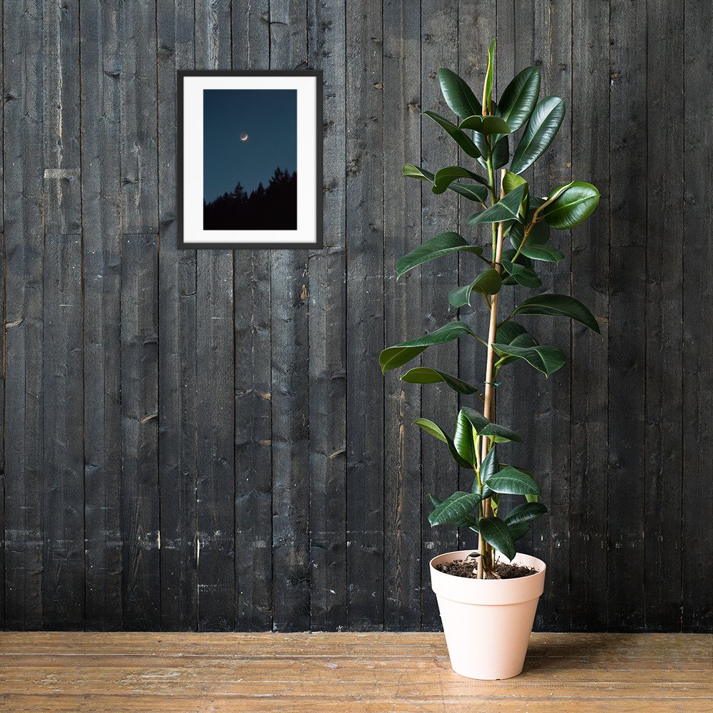 enhanced-matte-paper-framed-poster-(in)-black-16x20-lifestyle-2-672a63dbe2b3c.jpg