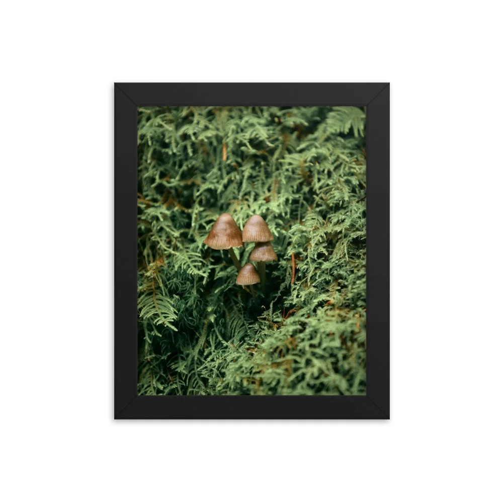 enhanced-matte-paper-framed-poster-(in)-black-8x10-transparent-6749e44ec59e7.jpg