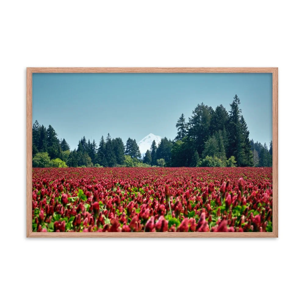 premium-luster-photo-paper-framed-poster-(in)-red-oak-24x36-transparent-674b14e790d4d.jpg