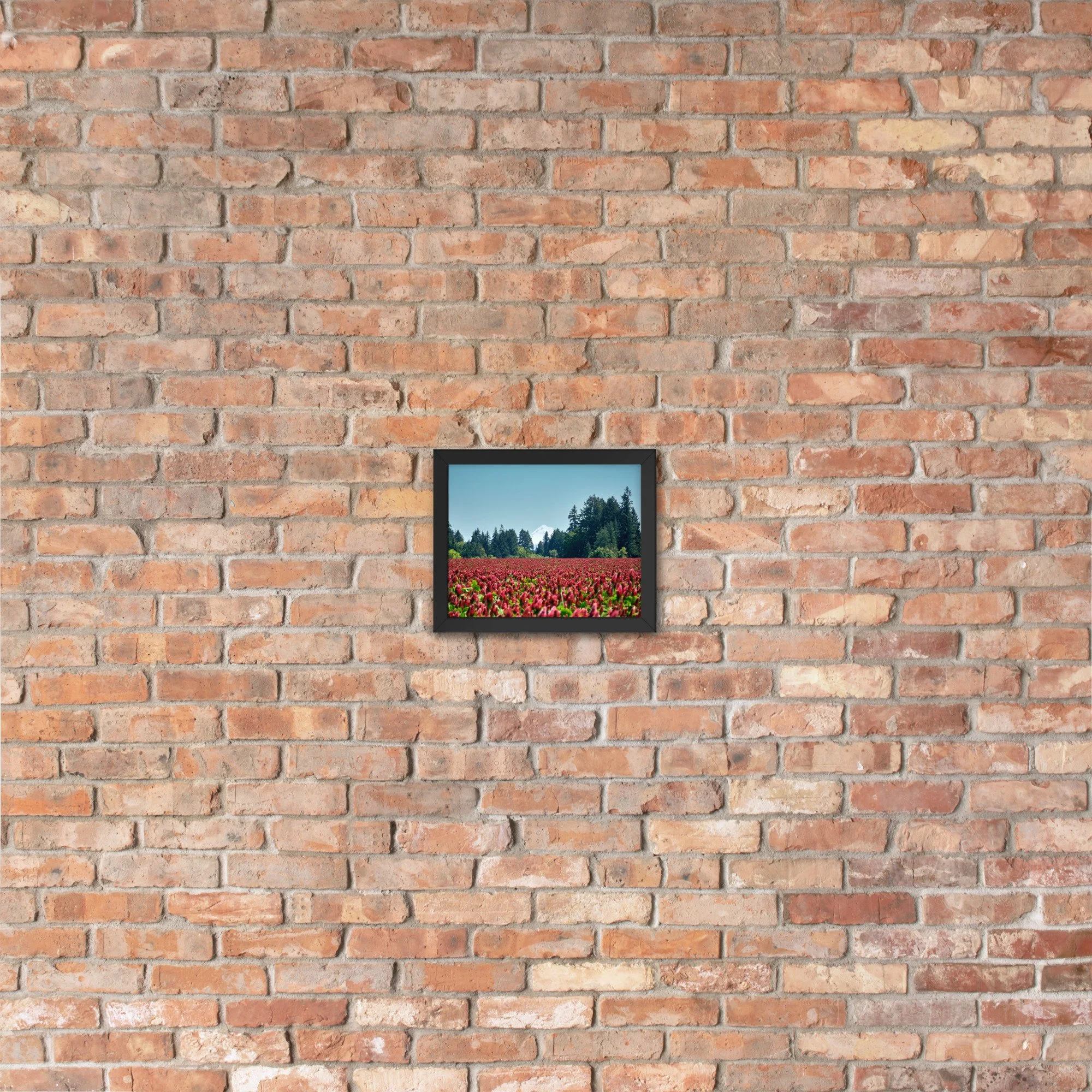 enhanced-matte-paper-framed-poster-(in)-black-8x10-lifestyle-4-674b15a634a91.jpg