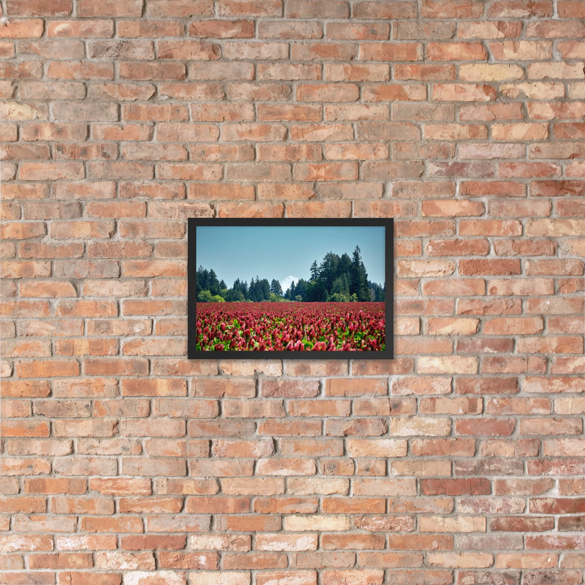 enhanced-matte-paper-framed-poster-(in)-black-12x18-lifestyle-4-674b15a634e4c.jpg