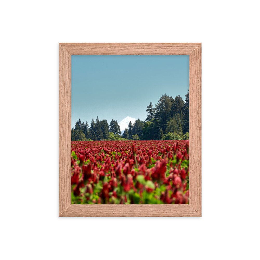 enhanced-matte-paper-framed-poster-(in)-red-oak-8x10-transparent-674b17538d3b4.jpg