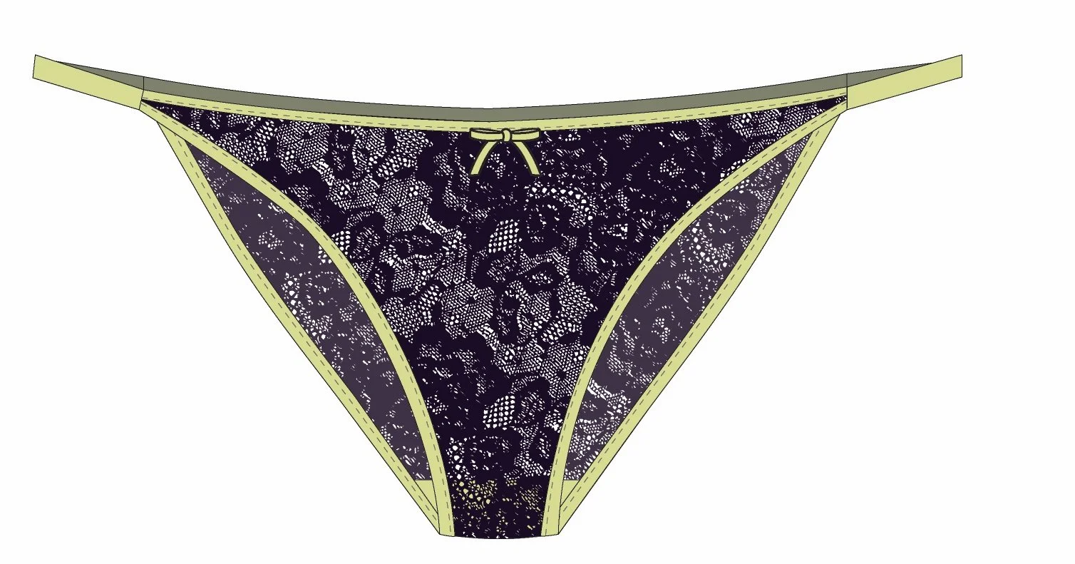 C169 lace with elastic trim.jpeg