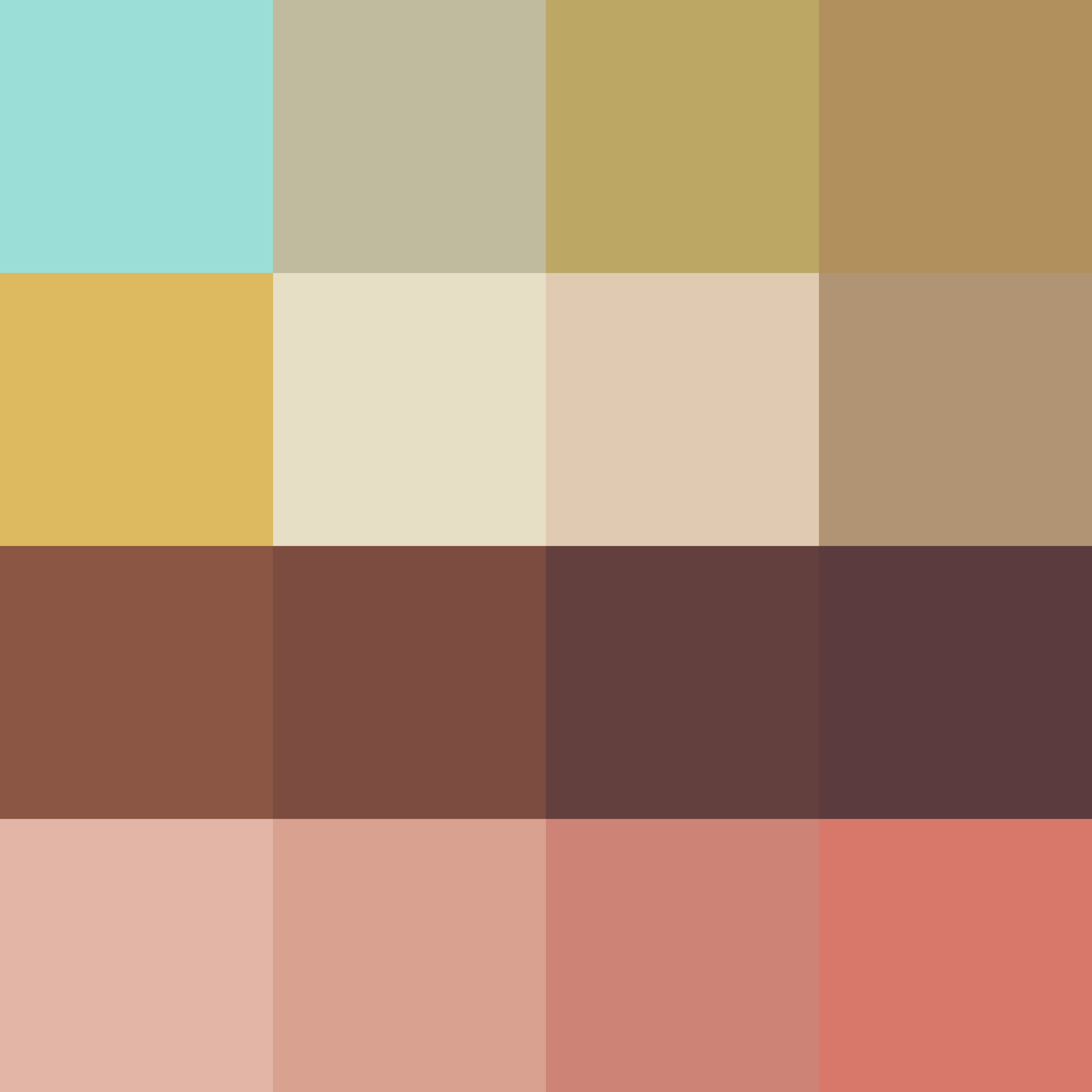 color palette.png