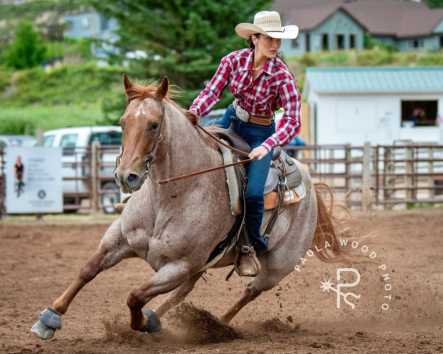 Bella 🦋 |  Carbondale CO |  2024 - A few weeks ago I was standing in the arena shooting barrels during slack. Through my lens I watched the final contestant fly toward the first barrel and thought oh, she looks different&hellip; ❤️🍀
.
.
.
@bellahad