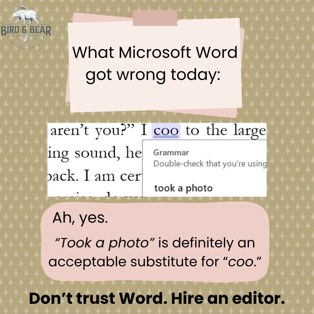 This was by far the oddest suggestion Microsoft Word has ever given me. Like...why? lol.

DM if you want a human editor looking at your book baby instead of computer programs with wacky suggestions.

#birdandbearediting #closeddoorromance #nospiceedi