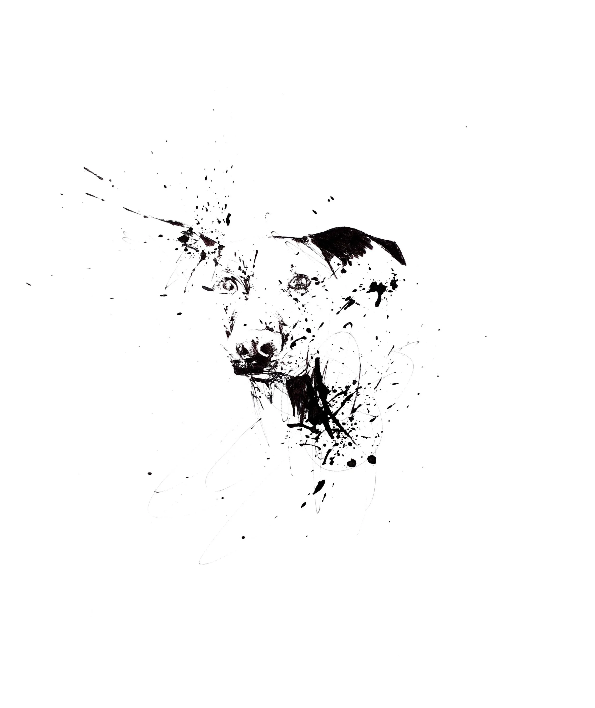 Figurative abstract ink painting titled 'Róka Úr' by Dani Selyebi