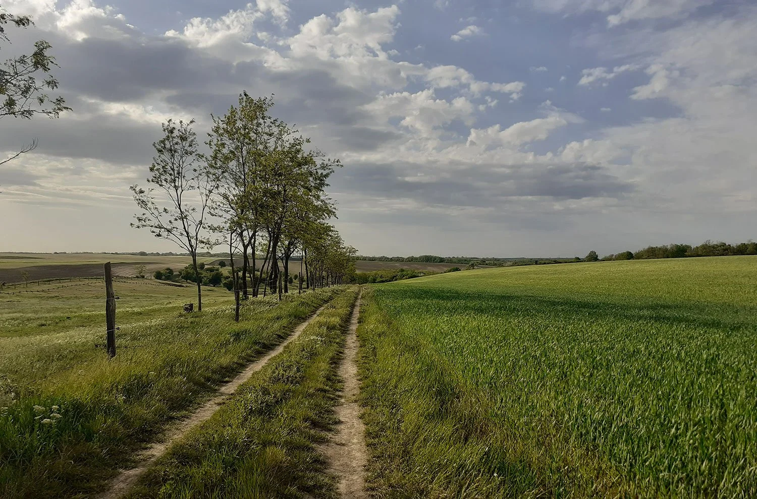 Retreating into nature — the emergence and renewal of a biophilic artistic perspective.