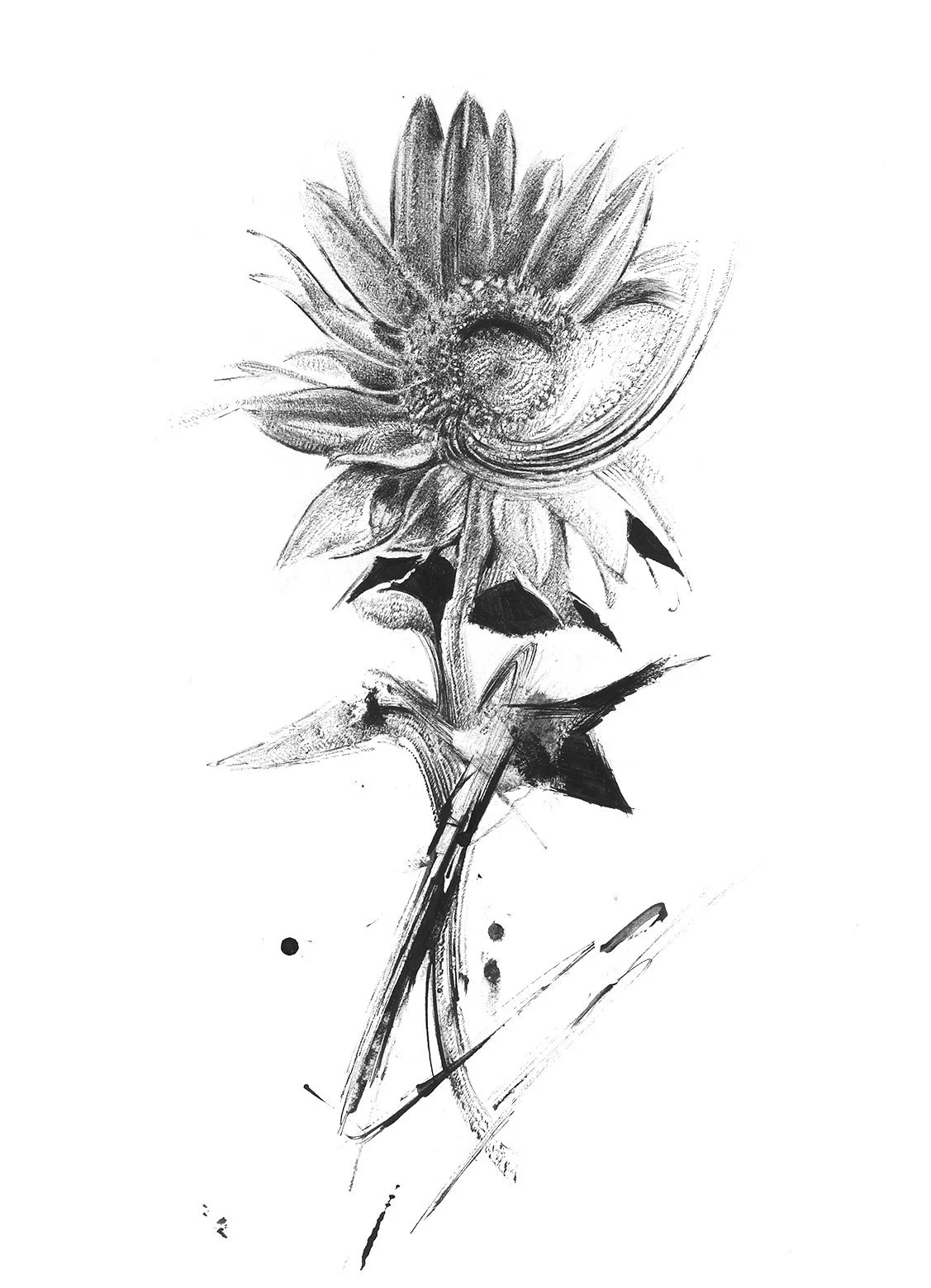 Organikus absztrakt virágábrázolás tusrajzzal – kortárs biophilic művészet