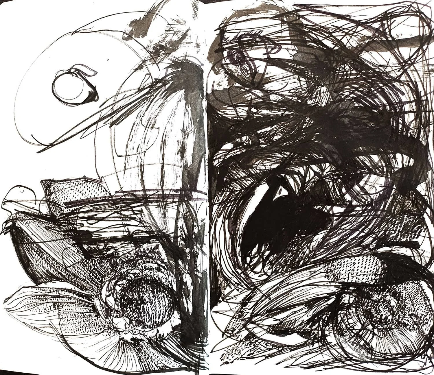 expresszív tusrajz skiccfüzetből, gesztusos vonalakkal és organikus formákkal