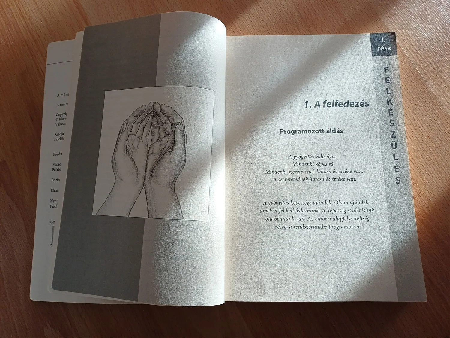 Open book page from Quantum Touch by Richard Gordon, featuring a hand drawing and a passage on healing.