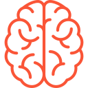 Illustration of a human brain in red outline on a white background