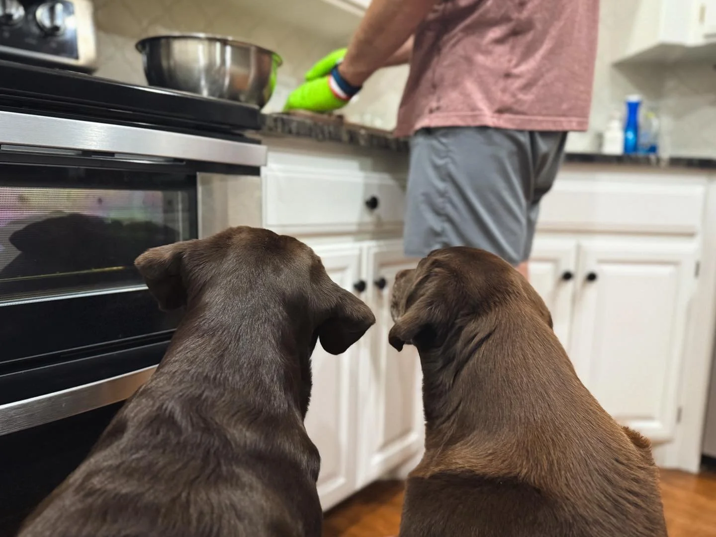 Poppy &amp; Jovie &mdash; When they aren&rsquo;t supervising the shop, they&rsquo;re the kitchen clean-up crew. They take this job very seriously. 🐾

#onlywoodvibes #handcraftedwoodwork #cuttingboards #woodworking #supportsmallbusiness #supportveter