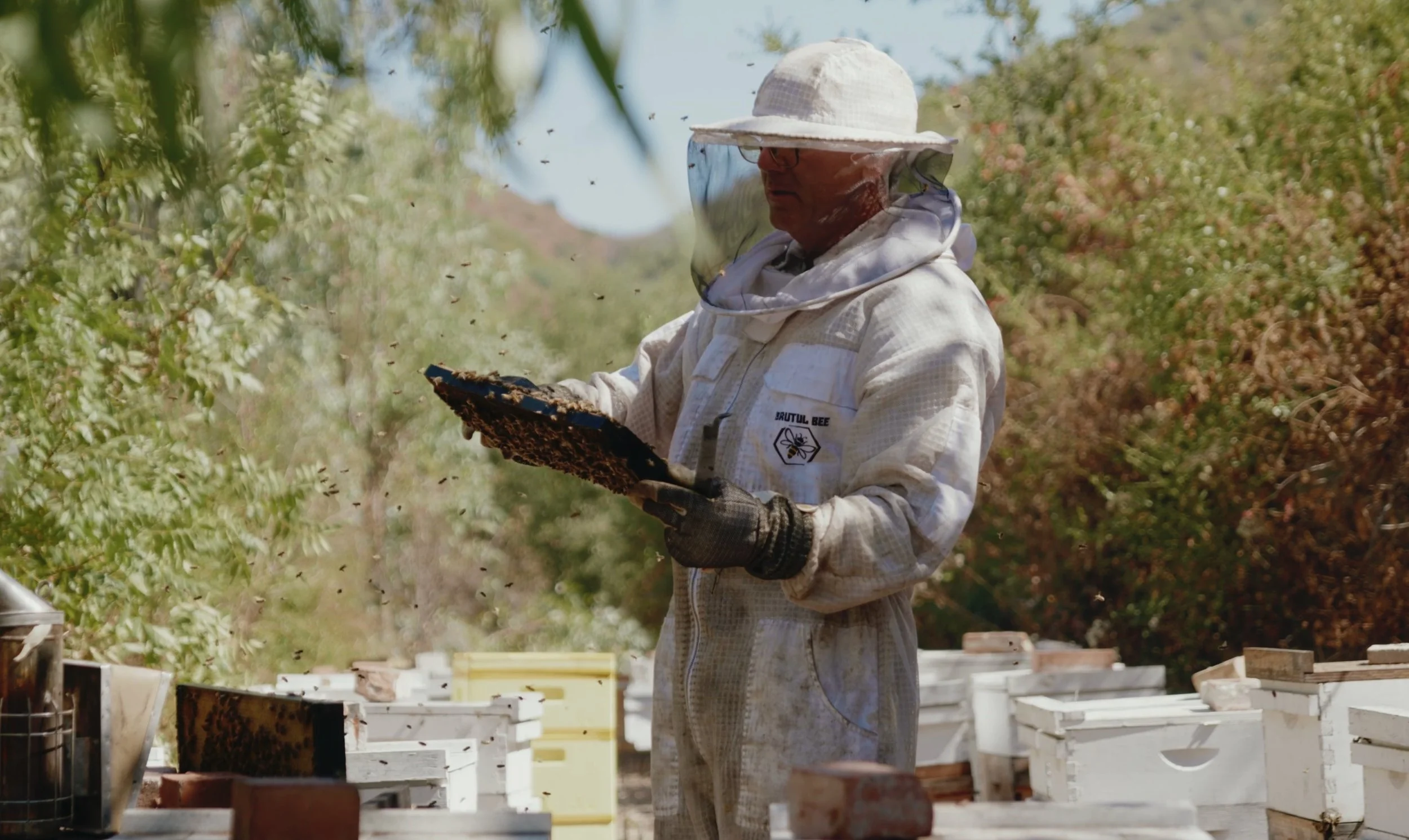 Screenshot 2024-12-03 at 10.54.06 AM.JPEG