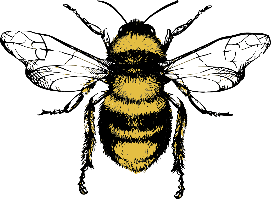 Bee_Only.png