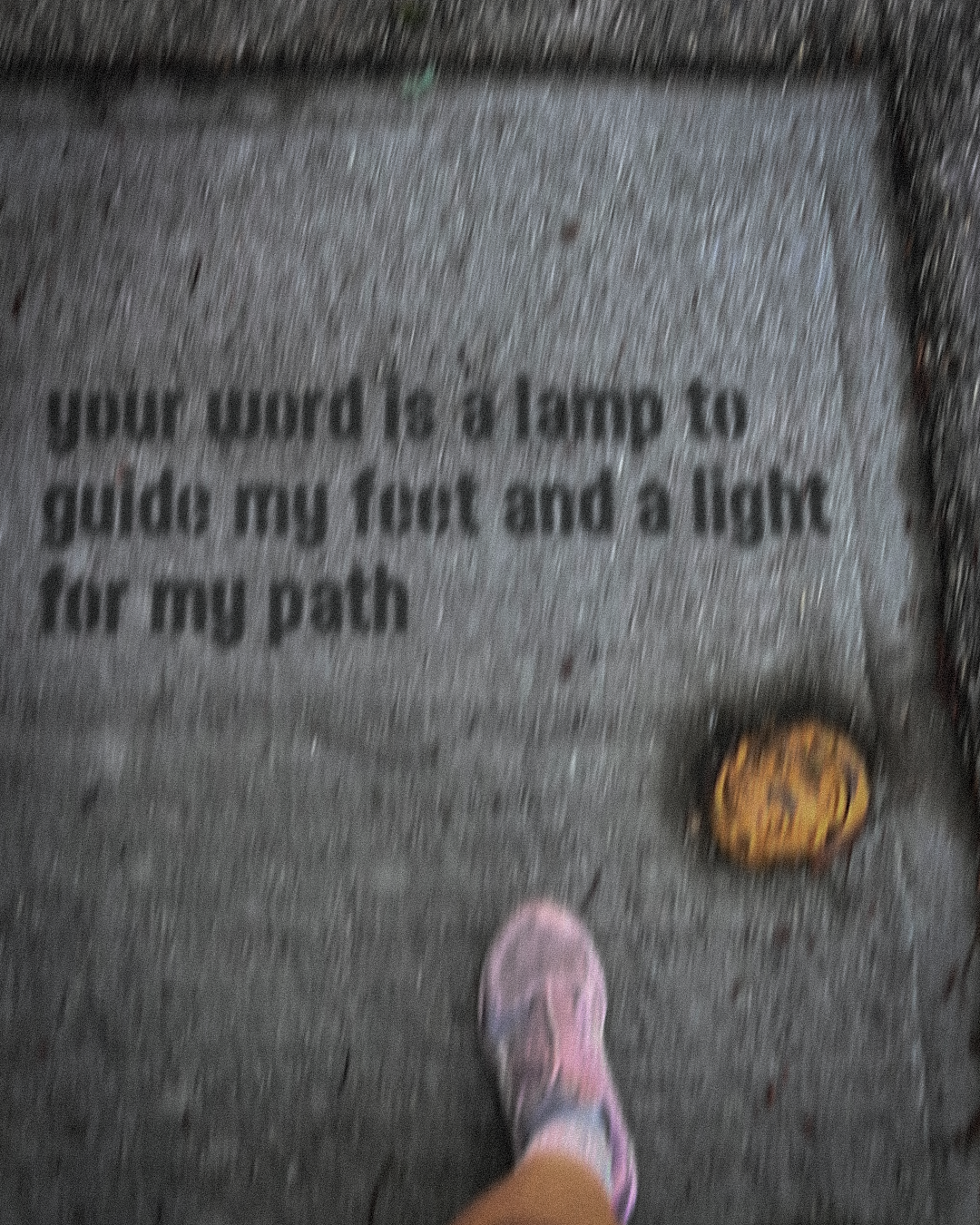 psalm119merged.png
