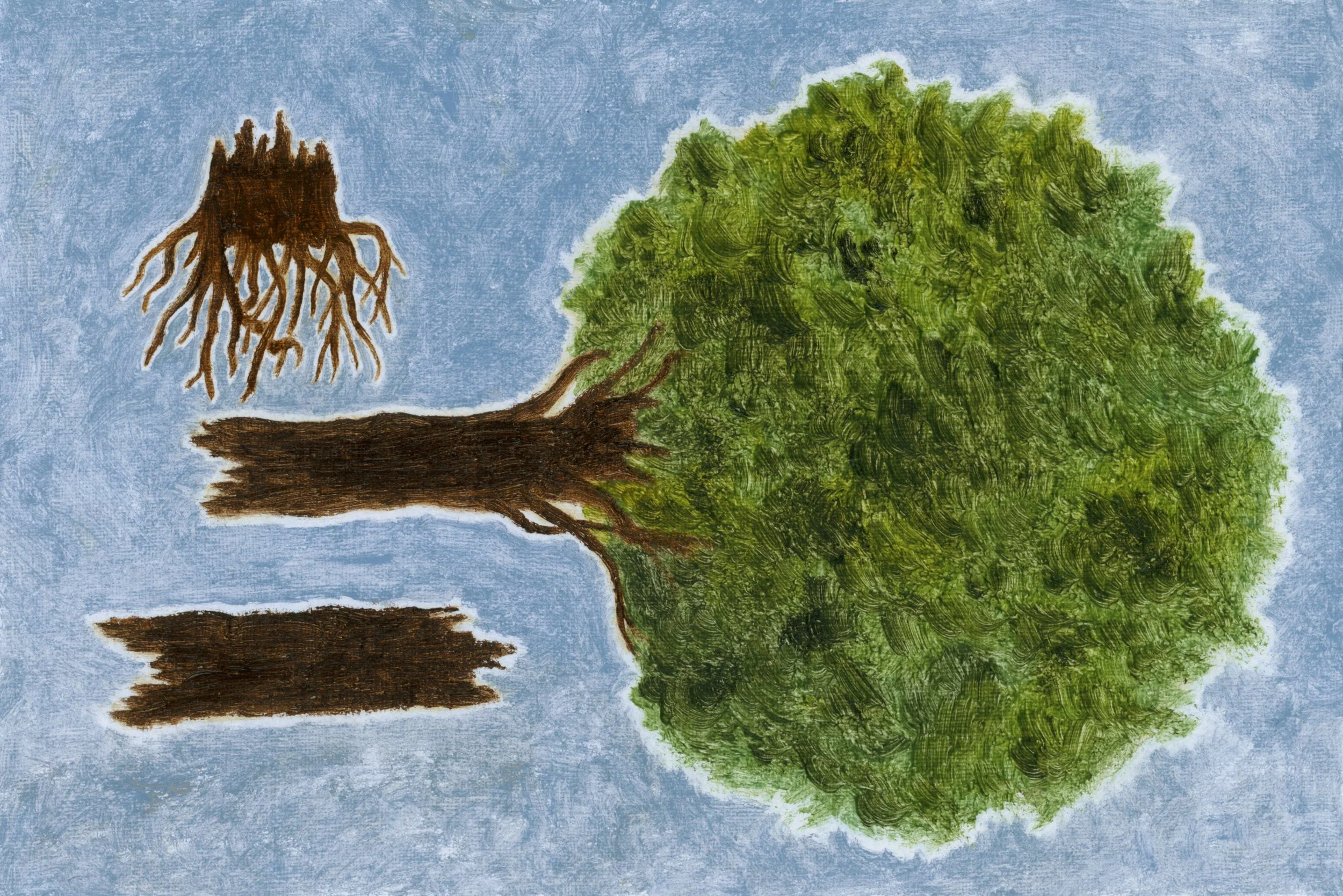  Joseph Dilnot  
Divided Tree, 2026 
oil on paper 
4 x 6 inches 
10.2 x 15.2 cm