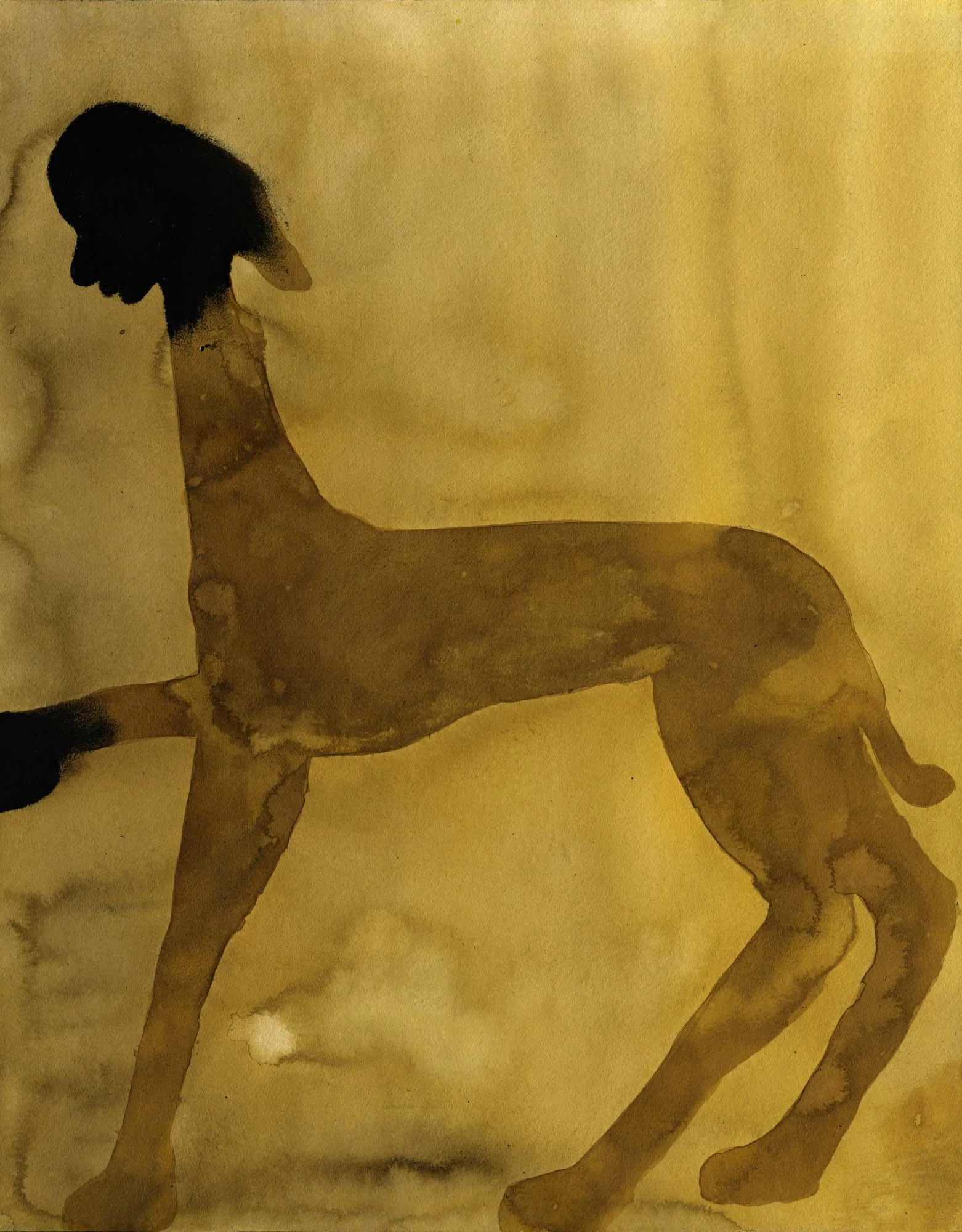  Gosia Machon  
I am the other, 2022 
ink and charcoal on paper 
19¾ x 15¾ in. 
50 x 40 cm