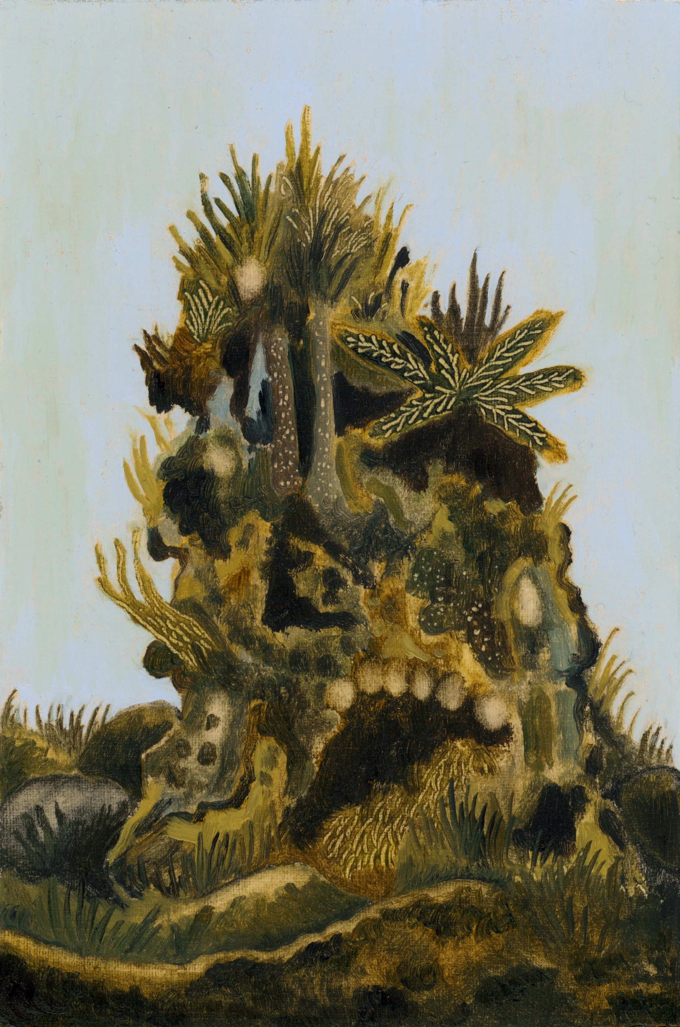  Joseph Dilnot  
Old Stone, 2026 
oil on paper 
6 x 4 inches 
15 x 10 cm