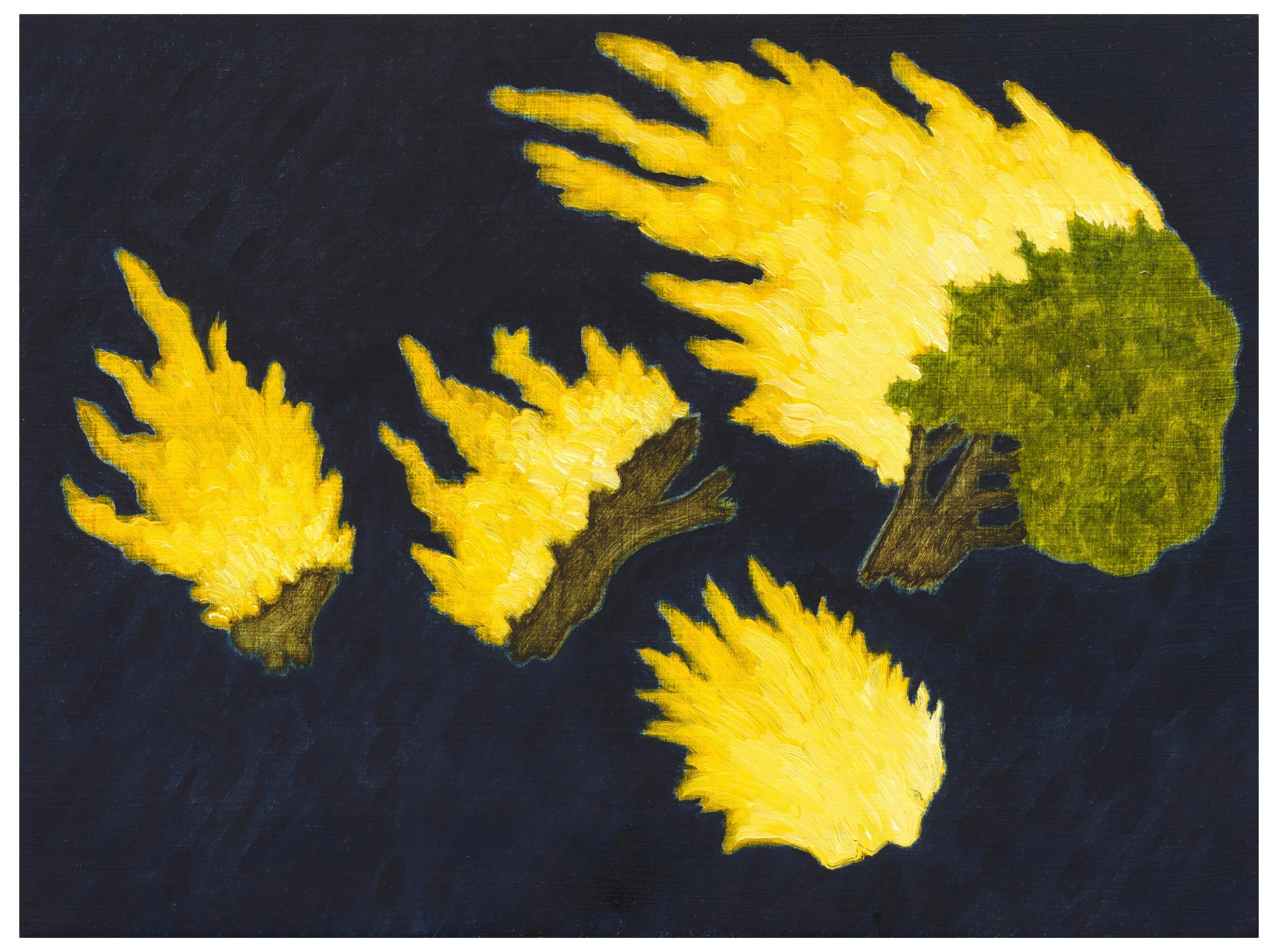 Joseph Dilnot-Divided Cometweb.jpg