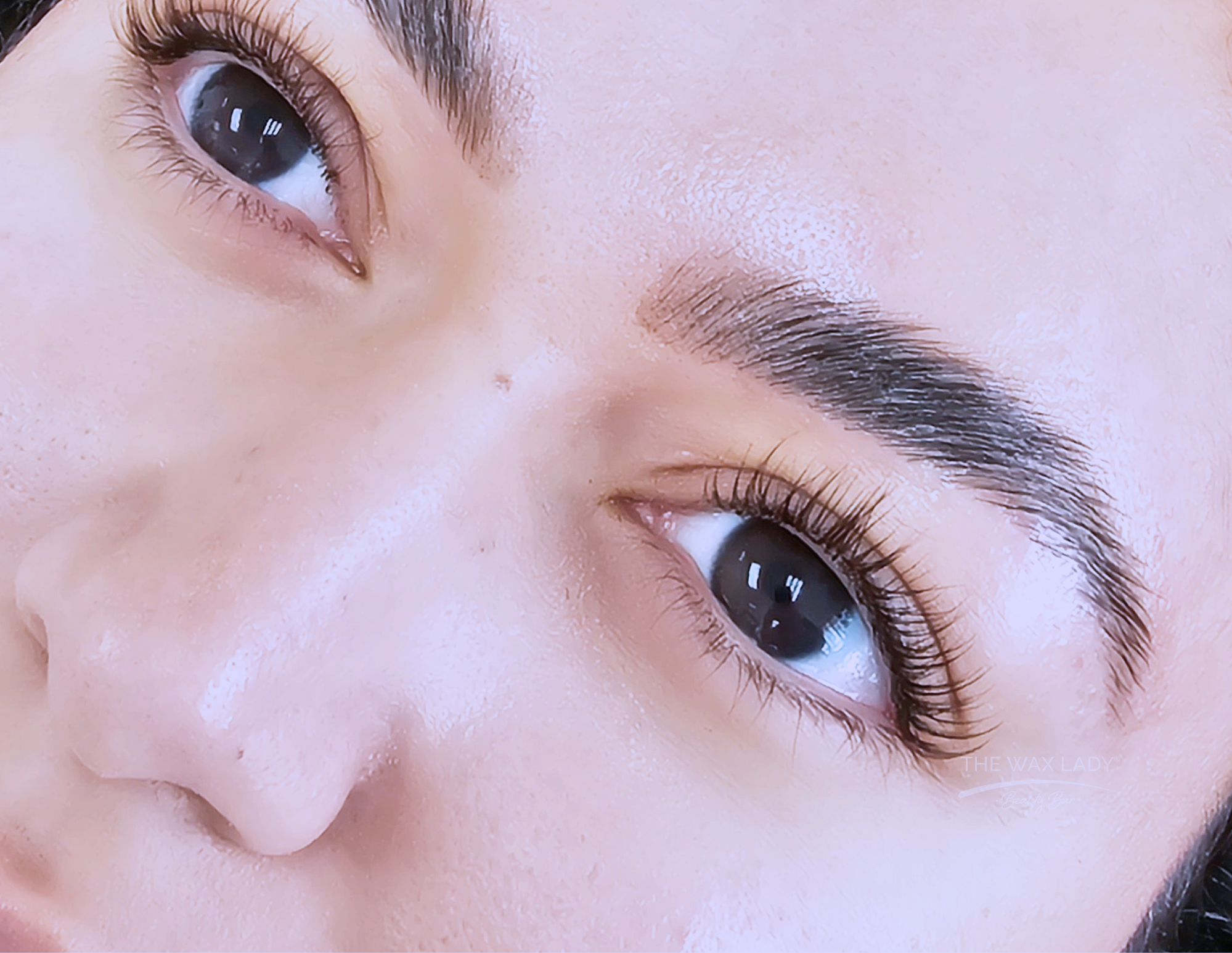 laminated brows and lash lift
