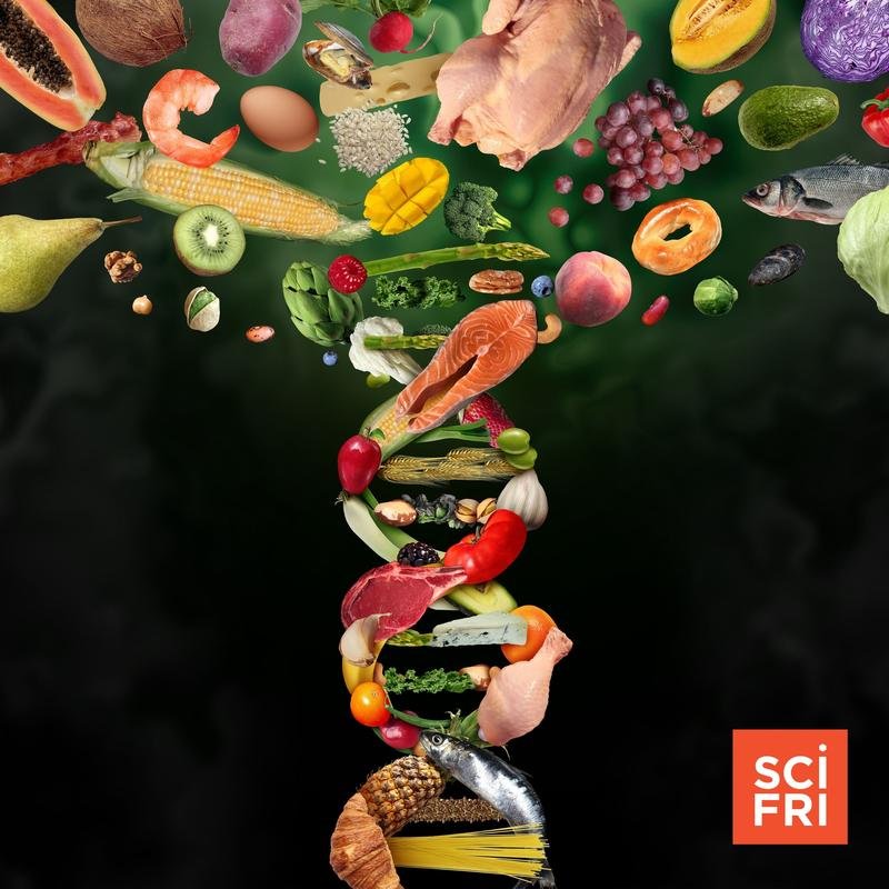 SciFri photo of food turning into DNA