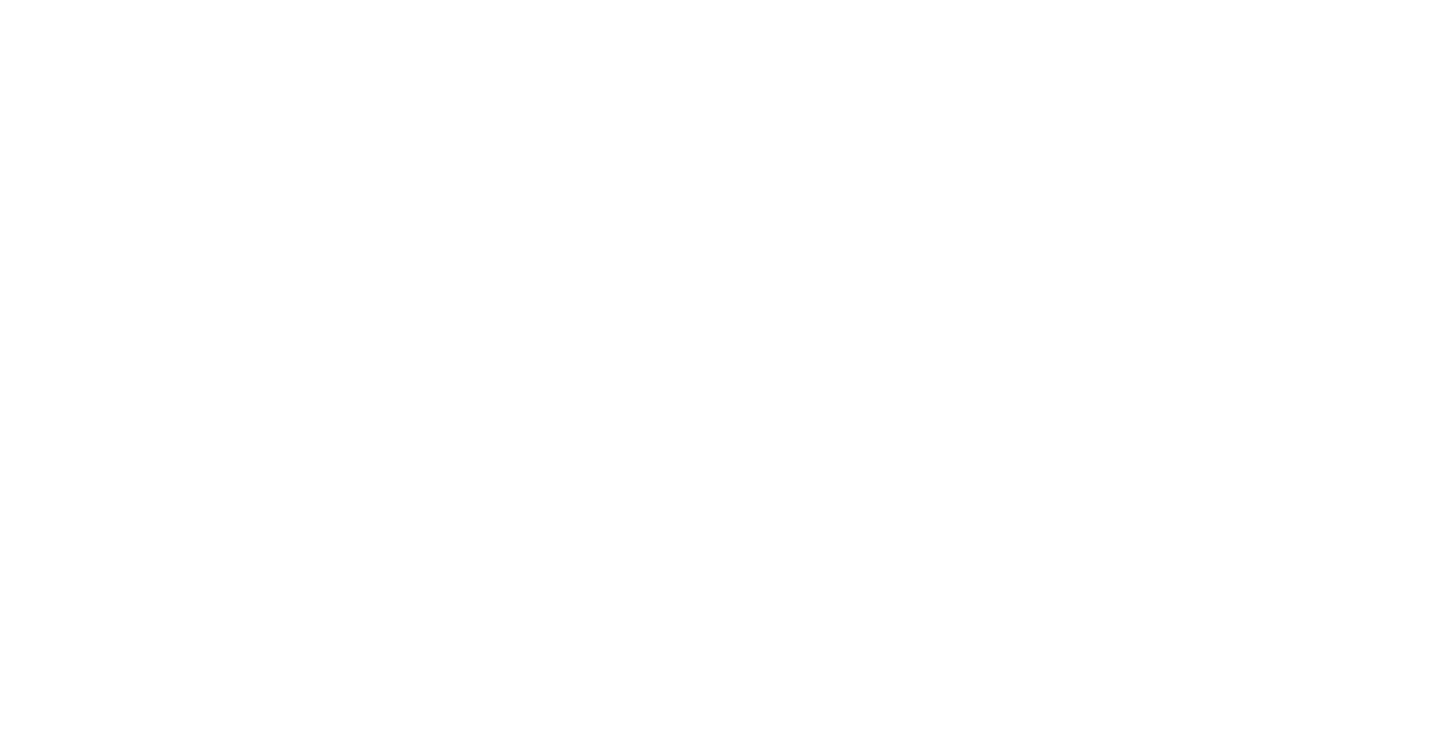 Brooks Running logo all white