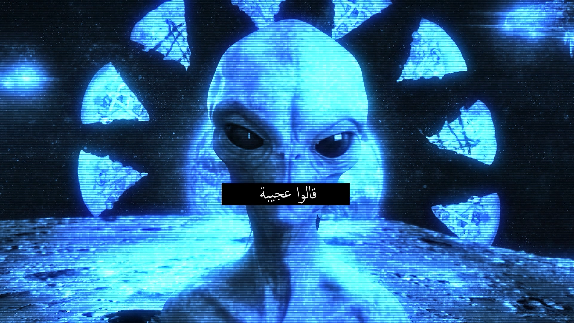 Shrimpy Vibes.00_01_49_12.Still012.png