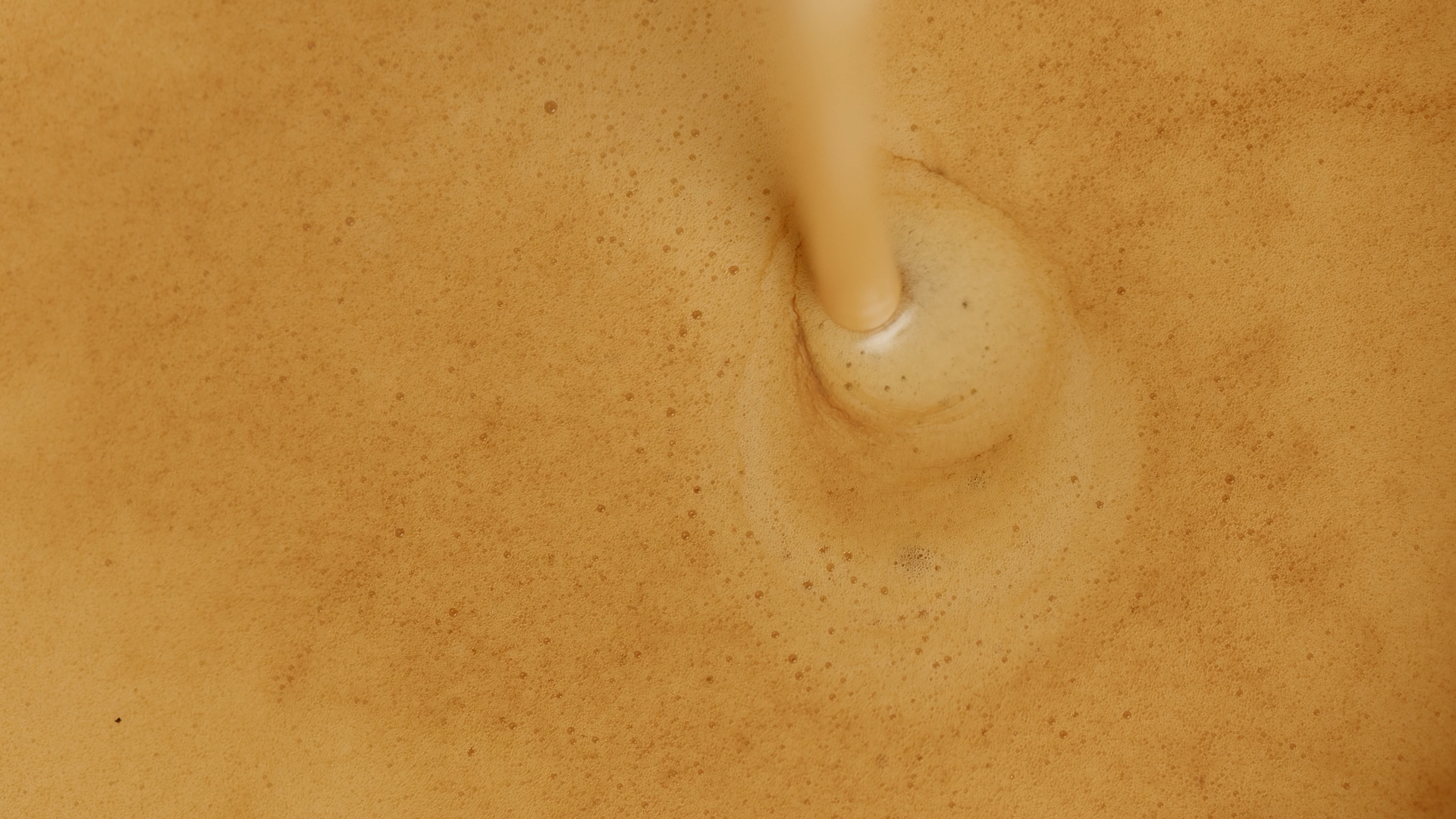 Shrimpy Vibes.00_01_18_12.Still008.png