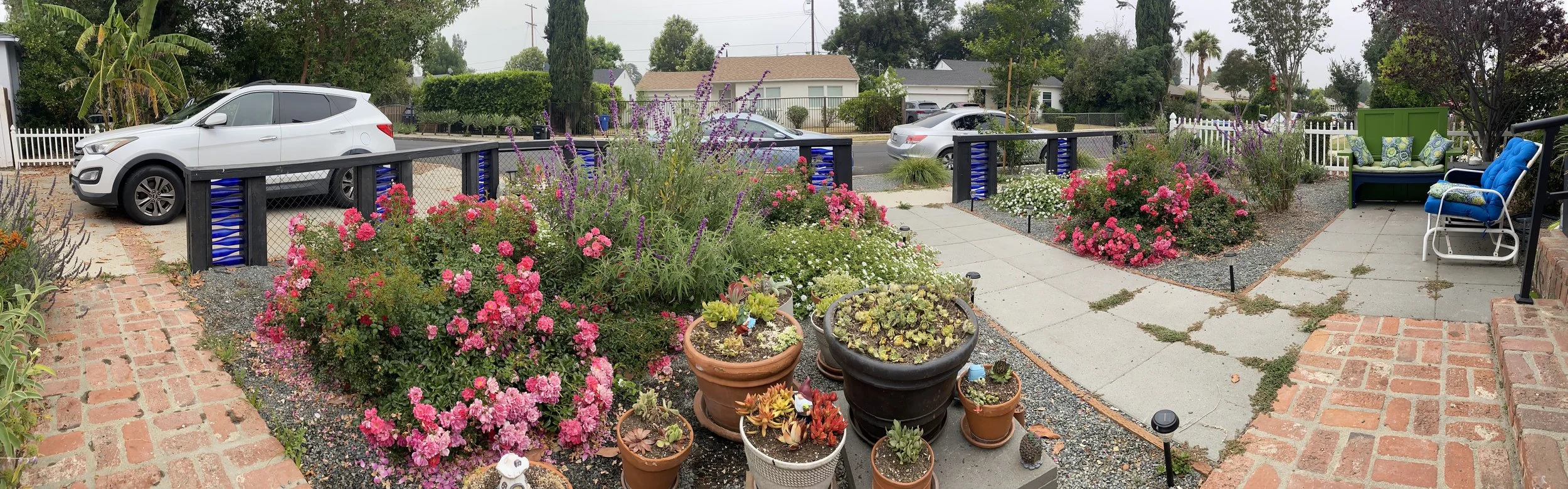 A front yard with a garden, potted plants, flowering bushes, a sidewalk, seating area, and parked cars in the background.