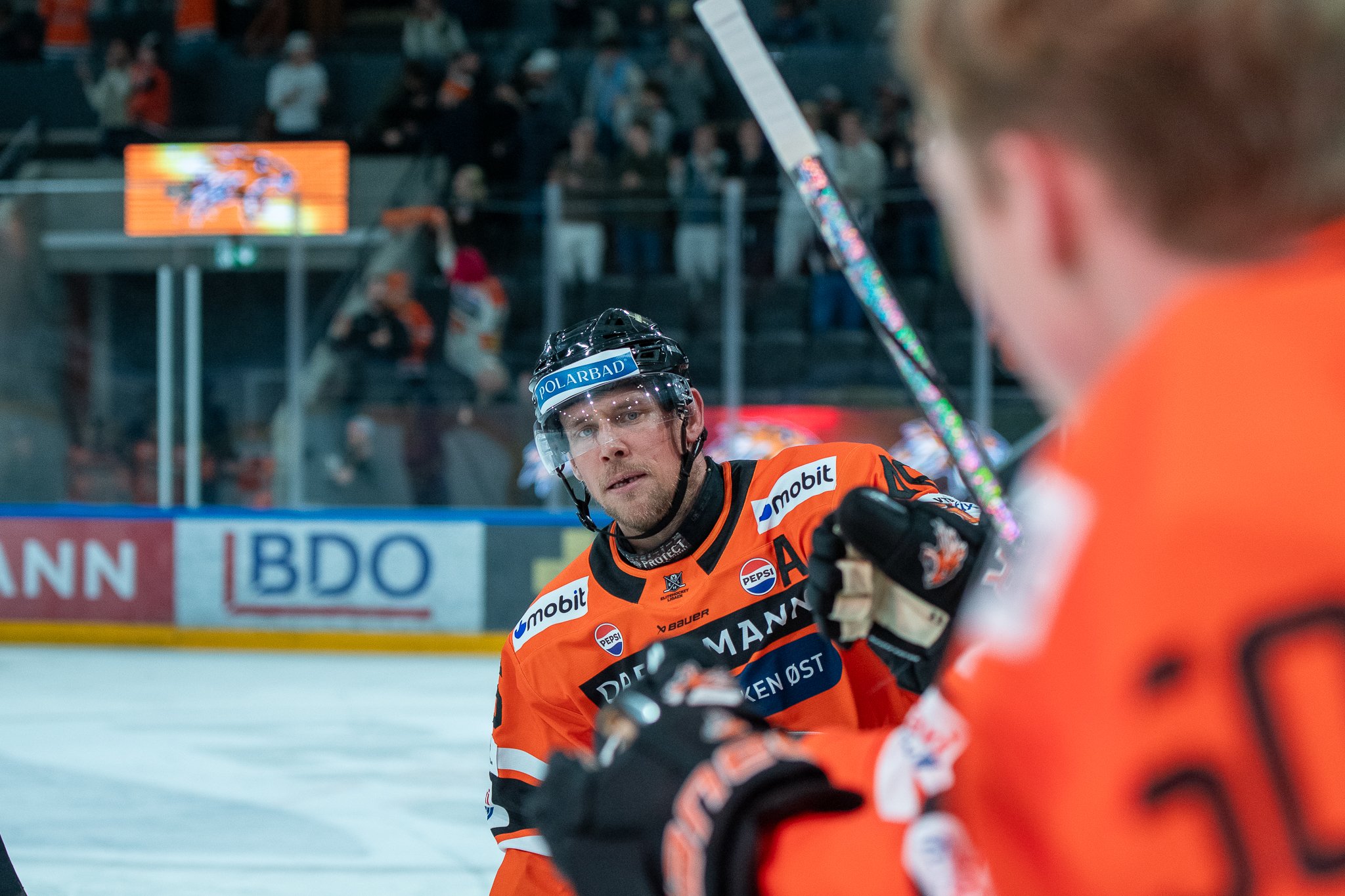 EHL 25/26: Frisk Asker - Storhamar