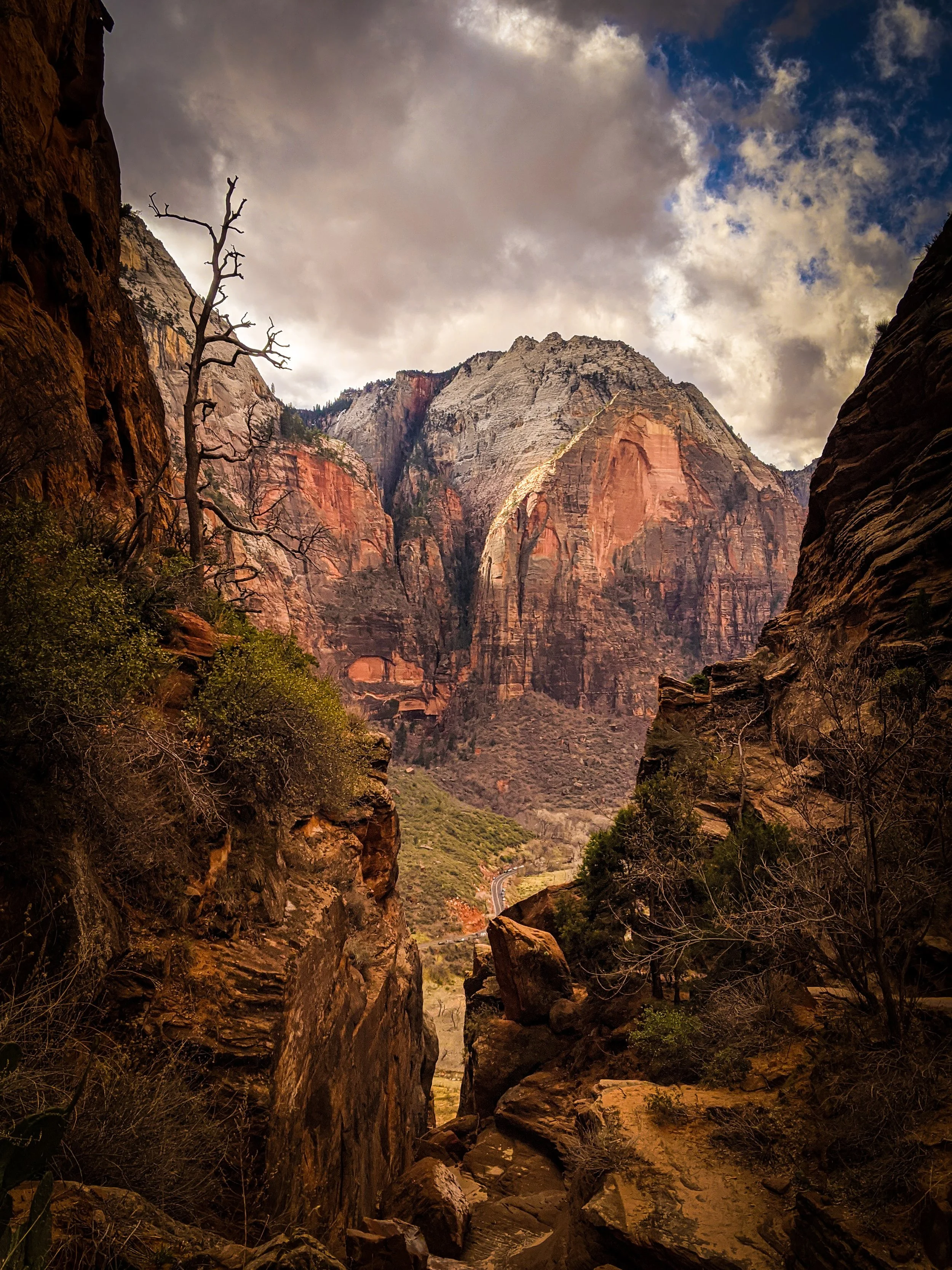IMG_20200317_103725 (3) (2).jpg