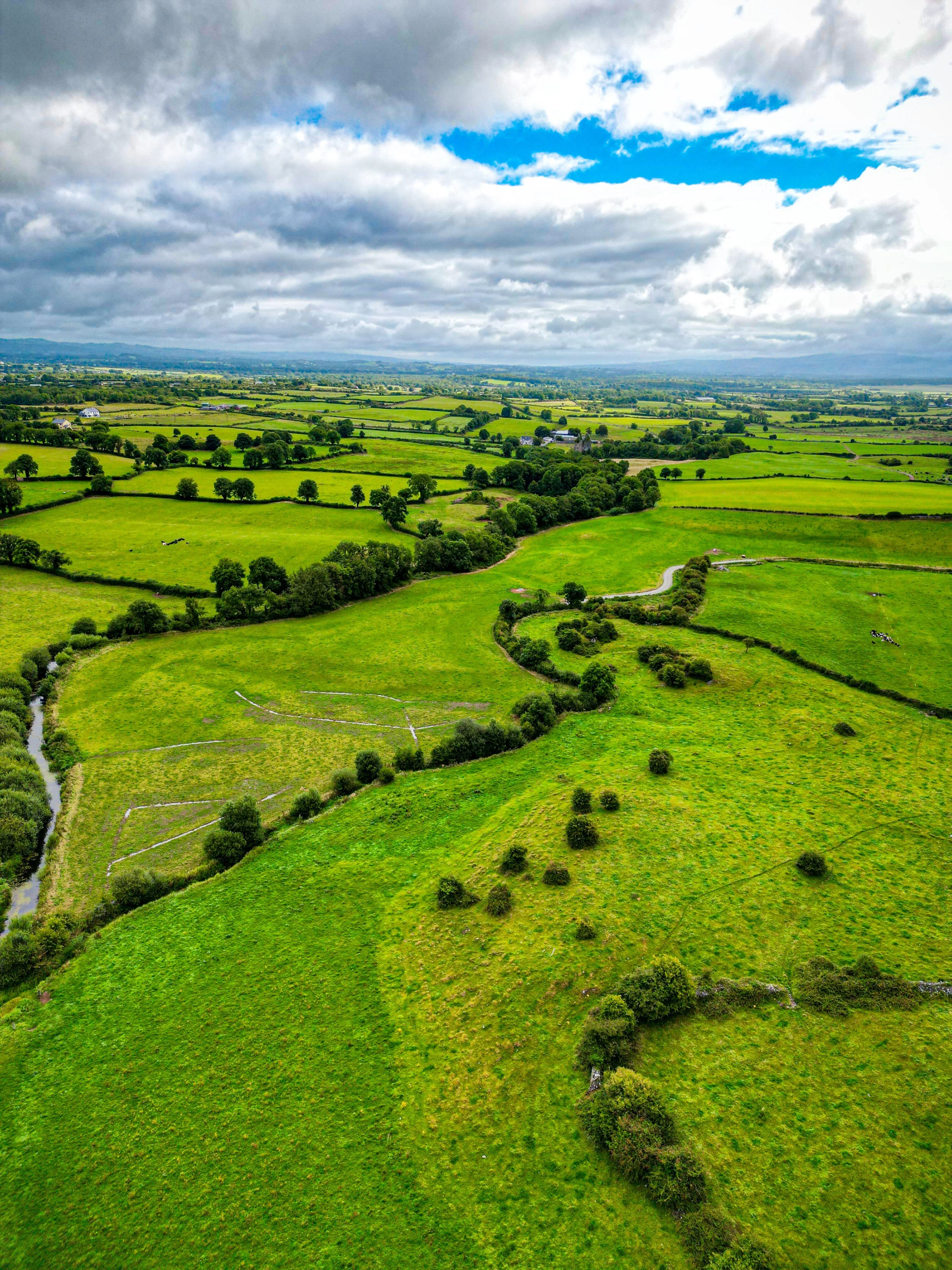 DJI_0360 (1).jpg