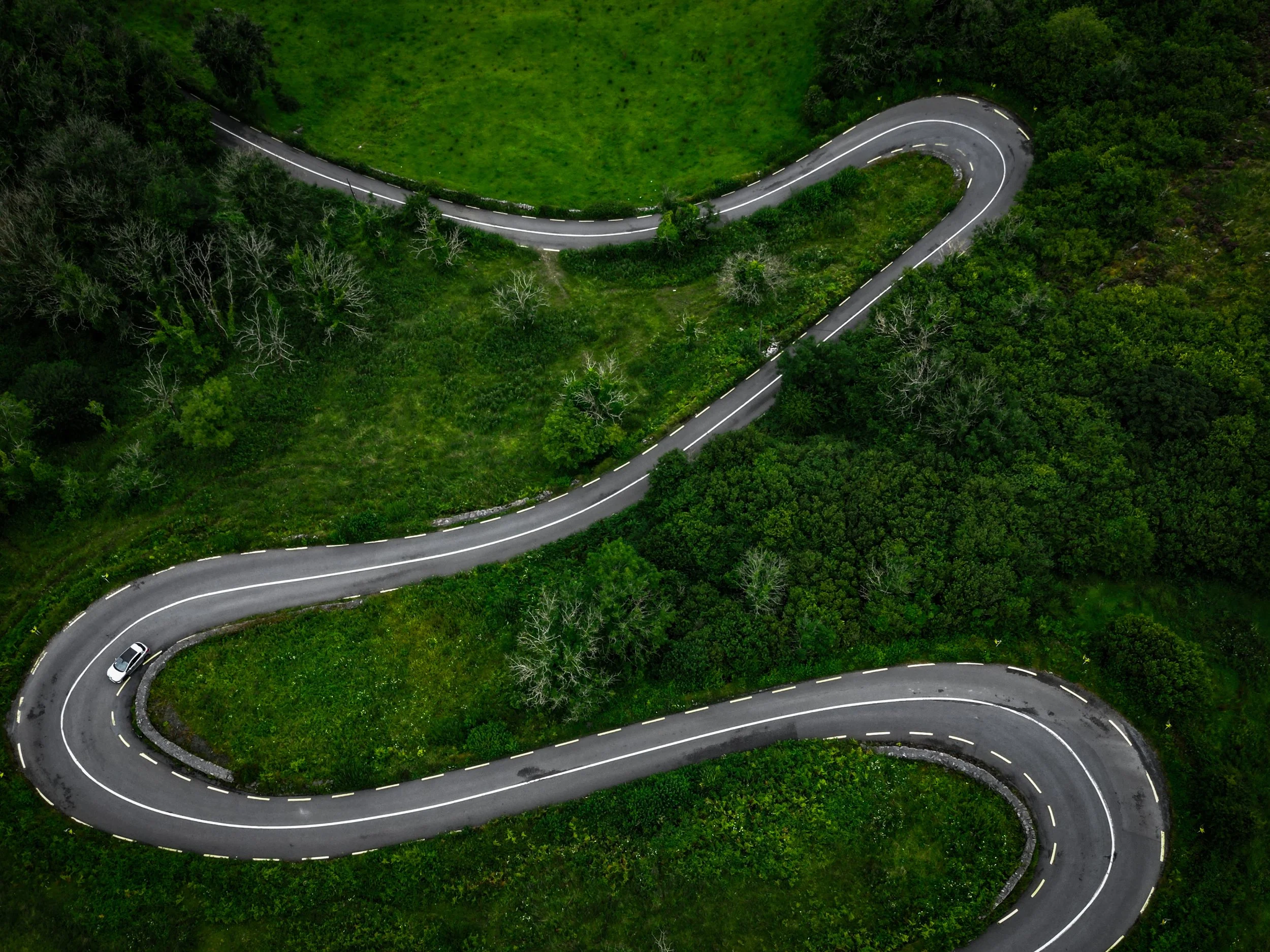 DJI_0310.jpg