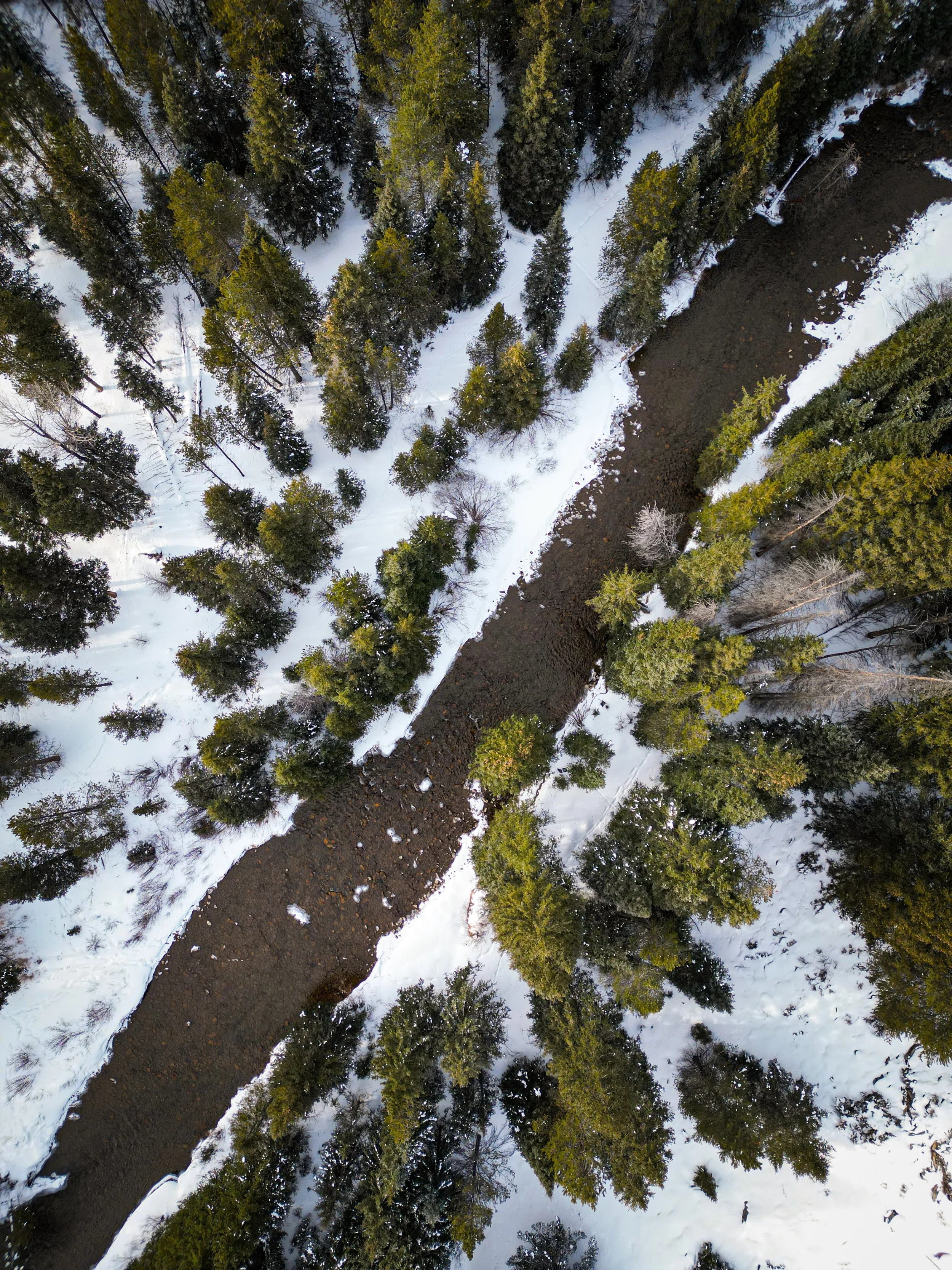 dji_fly_20230126_171402_634_1674784013376_photo (2).jpg