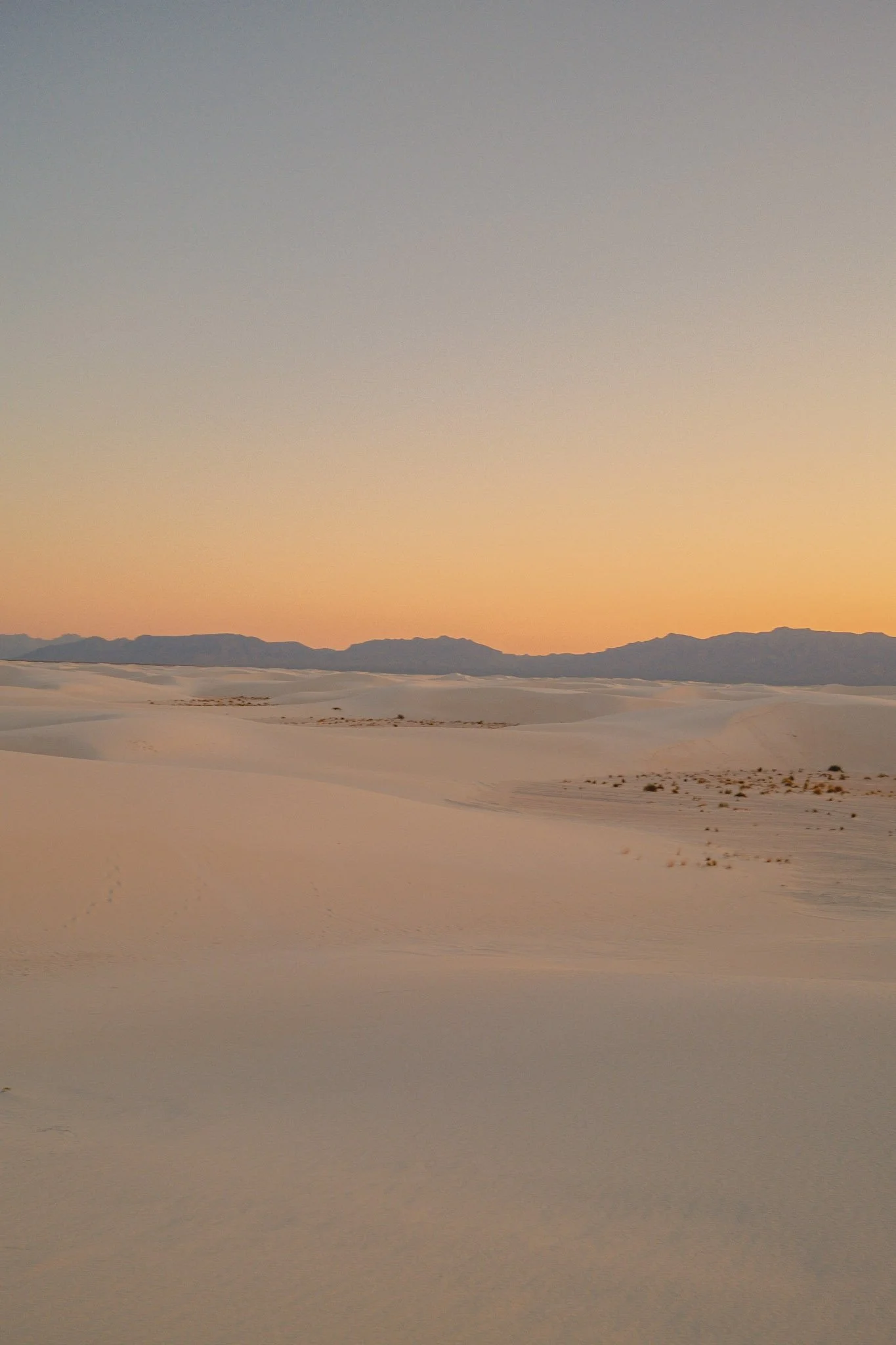 DSCF4324.jpg