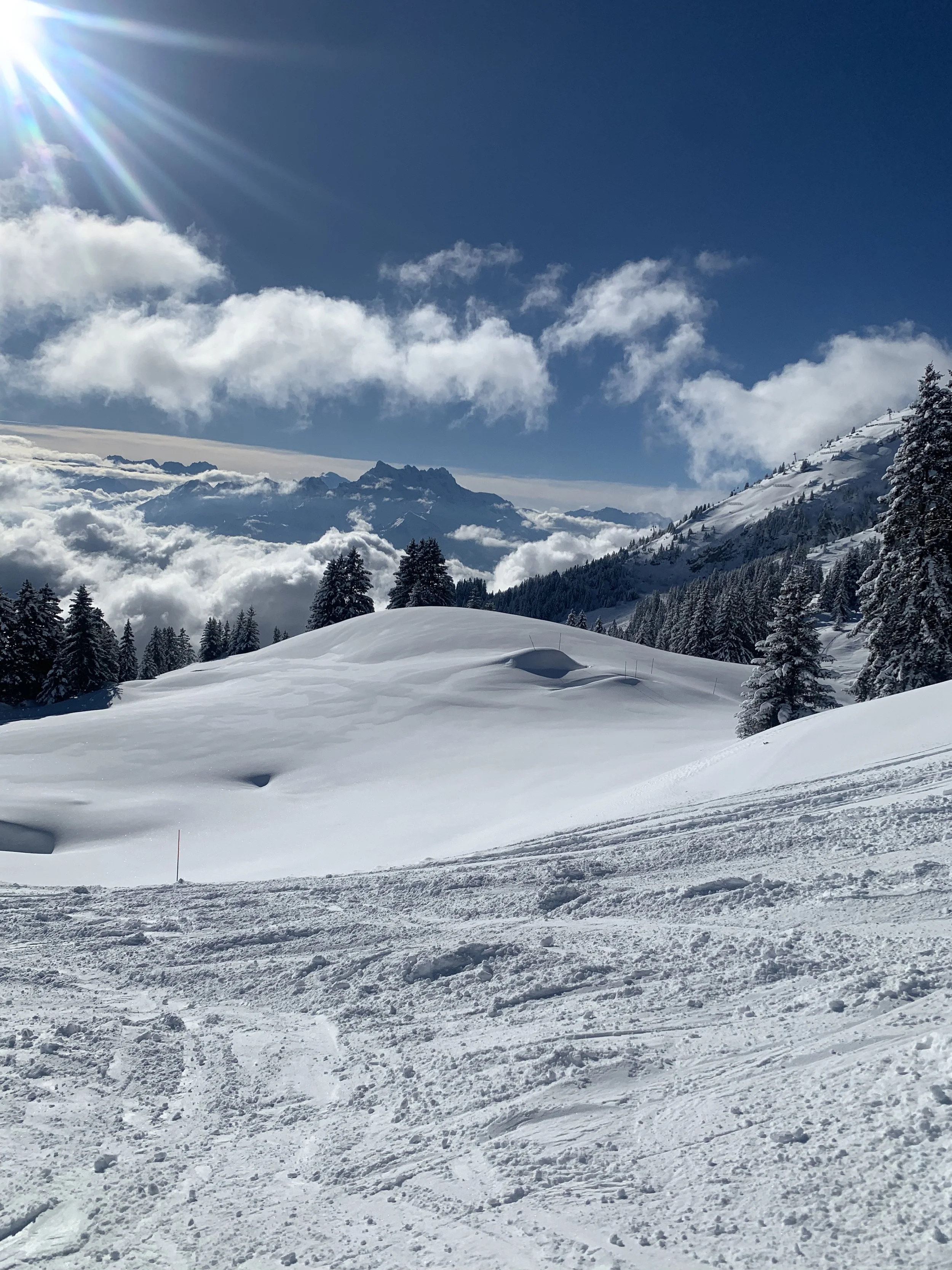 WINTER COLIVING CHAPTER
