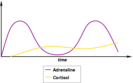 Diagram showing cortisol and adrenaline response in chronic workplace stress