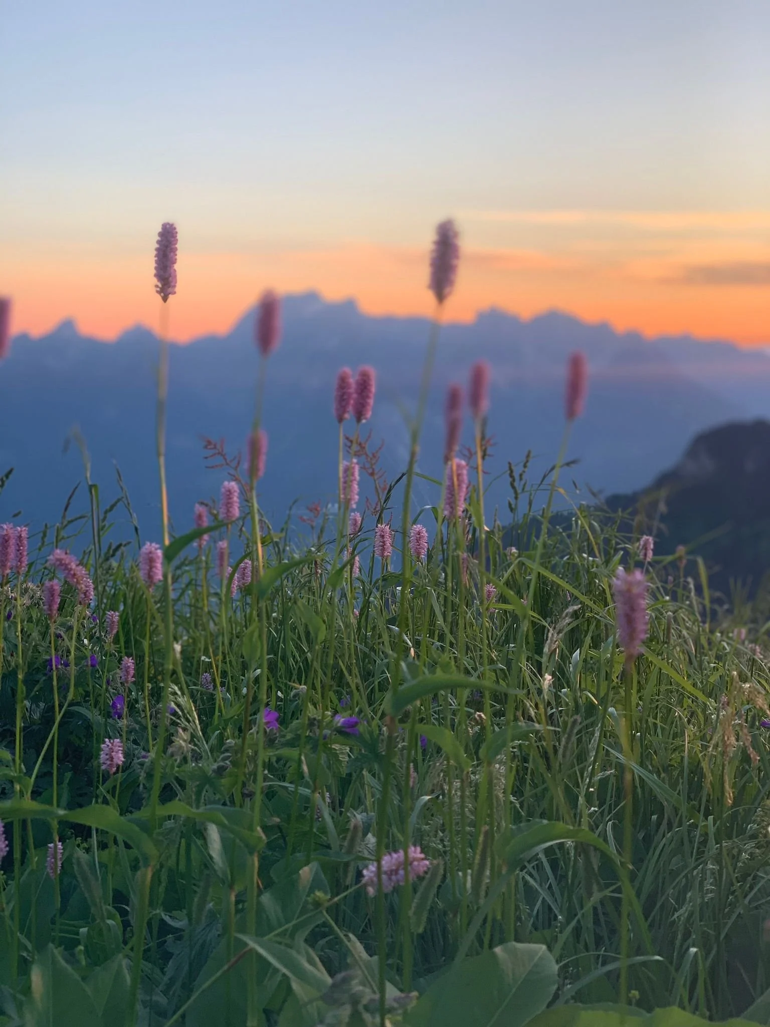 Taking place at Vermont Hub’s Alpine mountain campus in Leysin