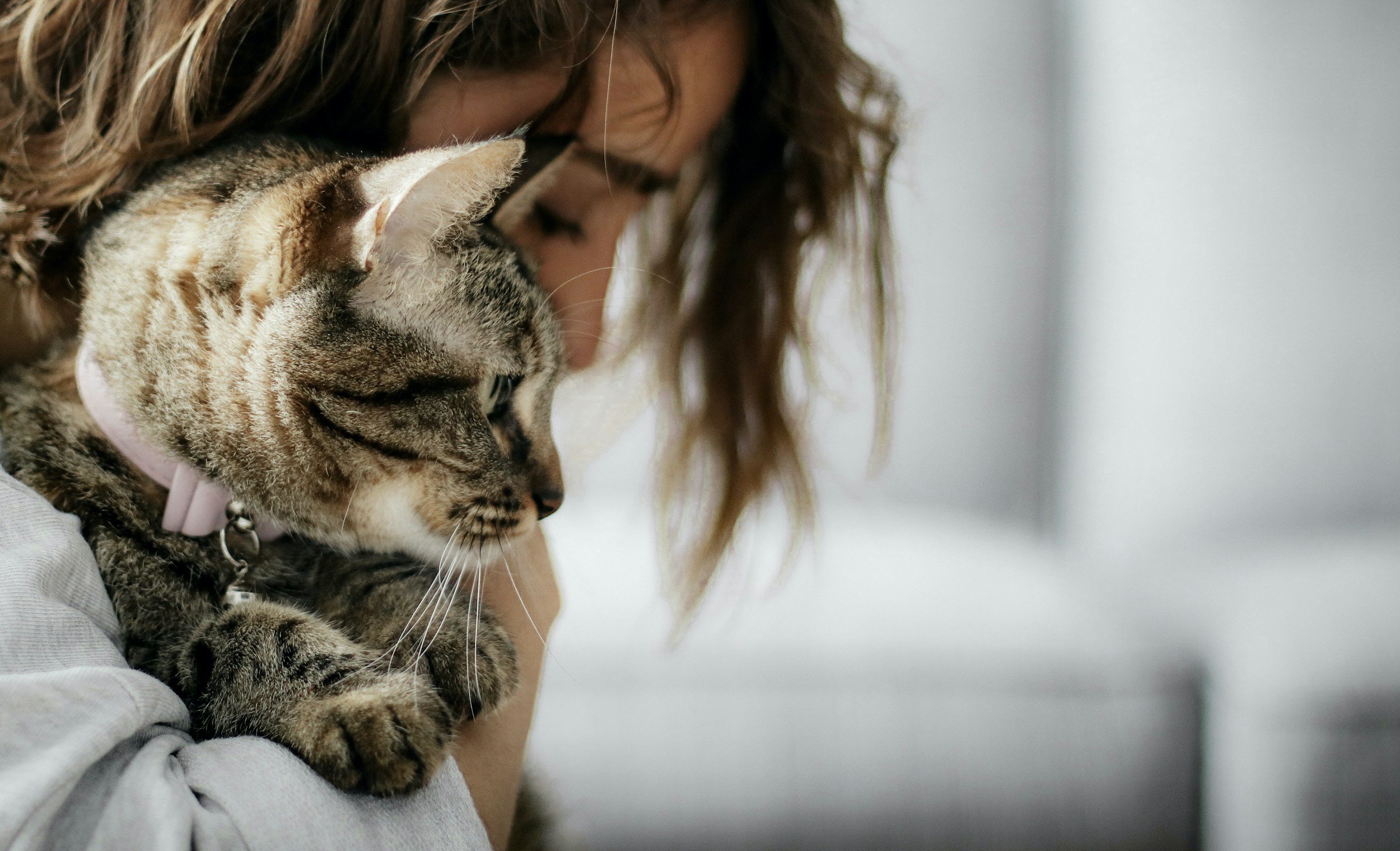 A woman with brown, wavy hair leaning close to a tabby cat with black, gray and brown fur, who is wearing a pink collar, while resting on her shoulder.