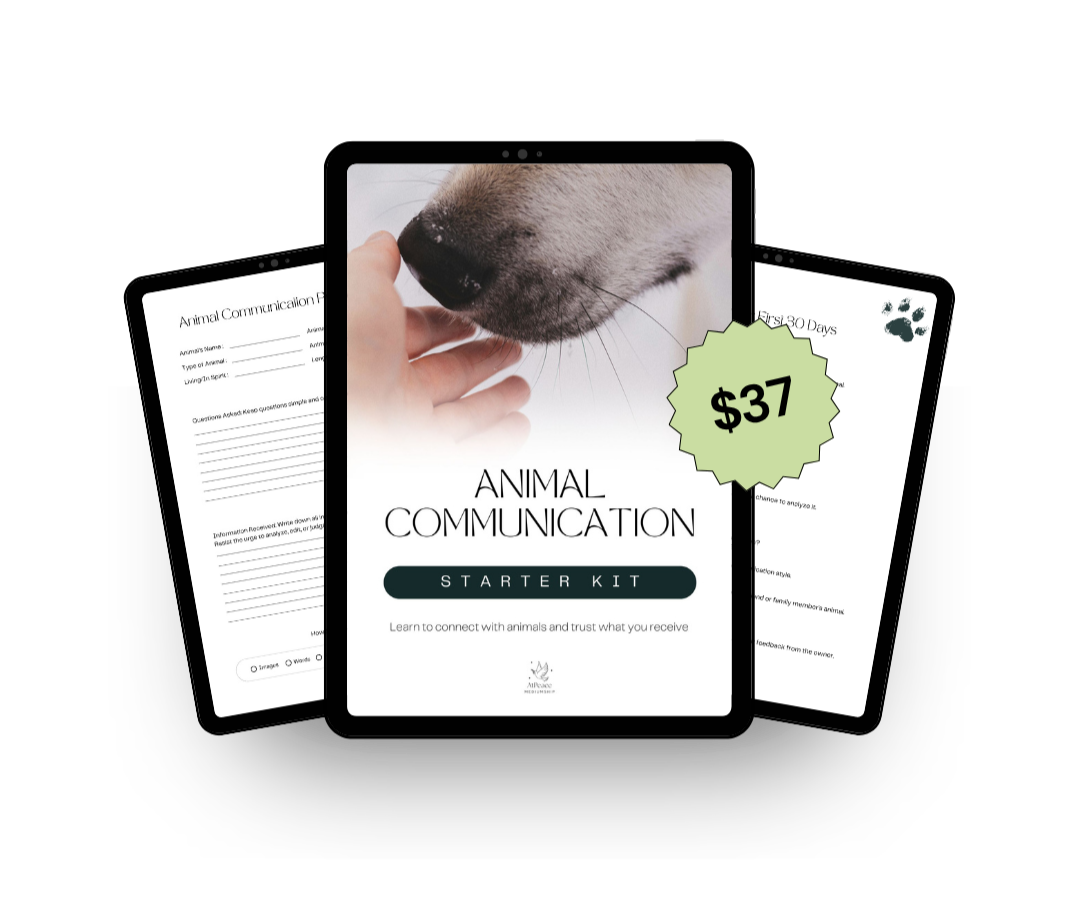 Packaging for an animal communication starter kit, priced at $37, featuring a close-up of a dog's nose and a hand, with included sheets for animal communication questionnaires.