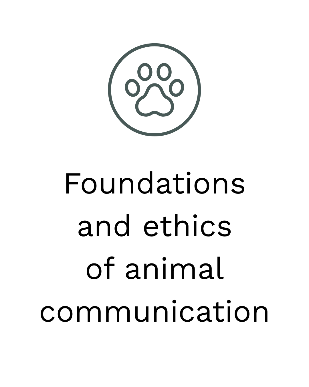 Dog paw print icon on a black background.