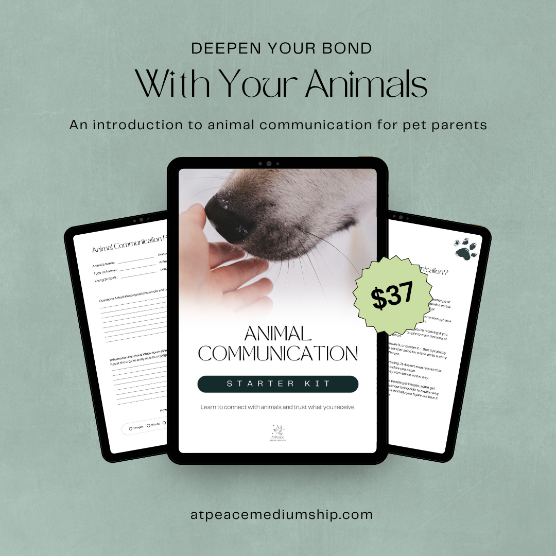 Animal Communication Starter Kit