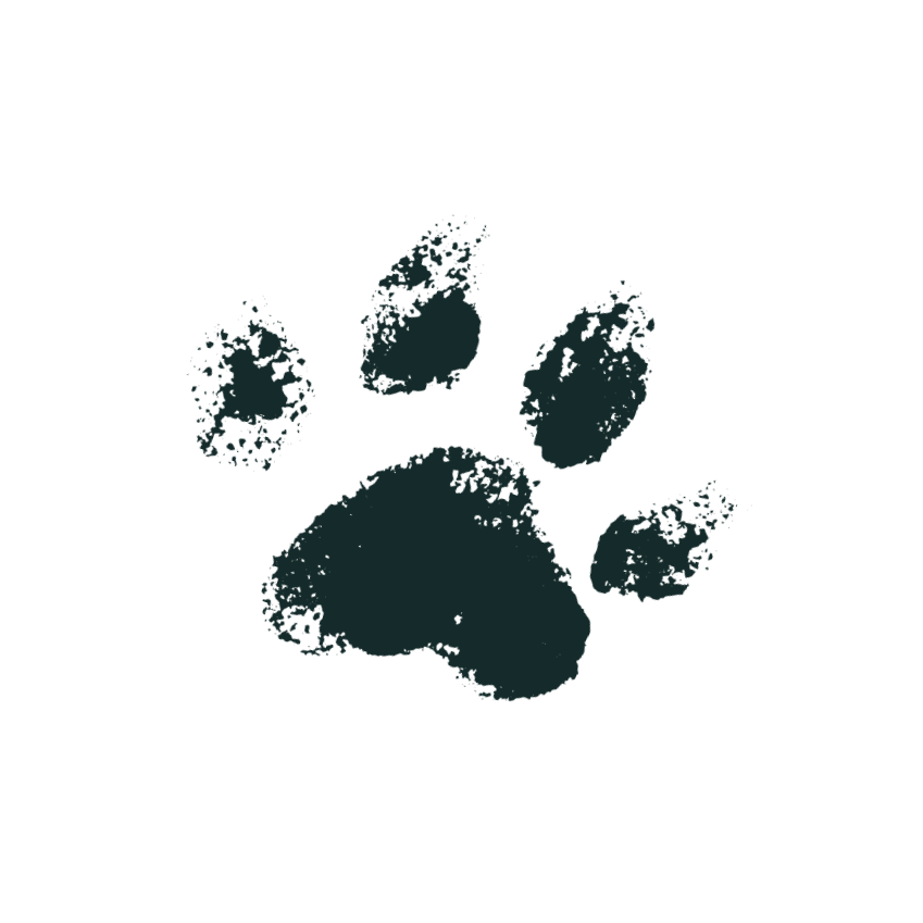 Faint image of a paw print against a black background.