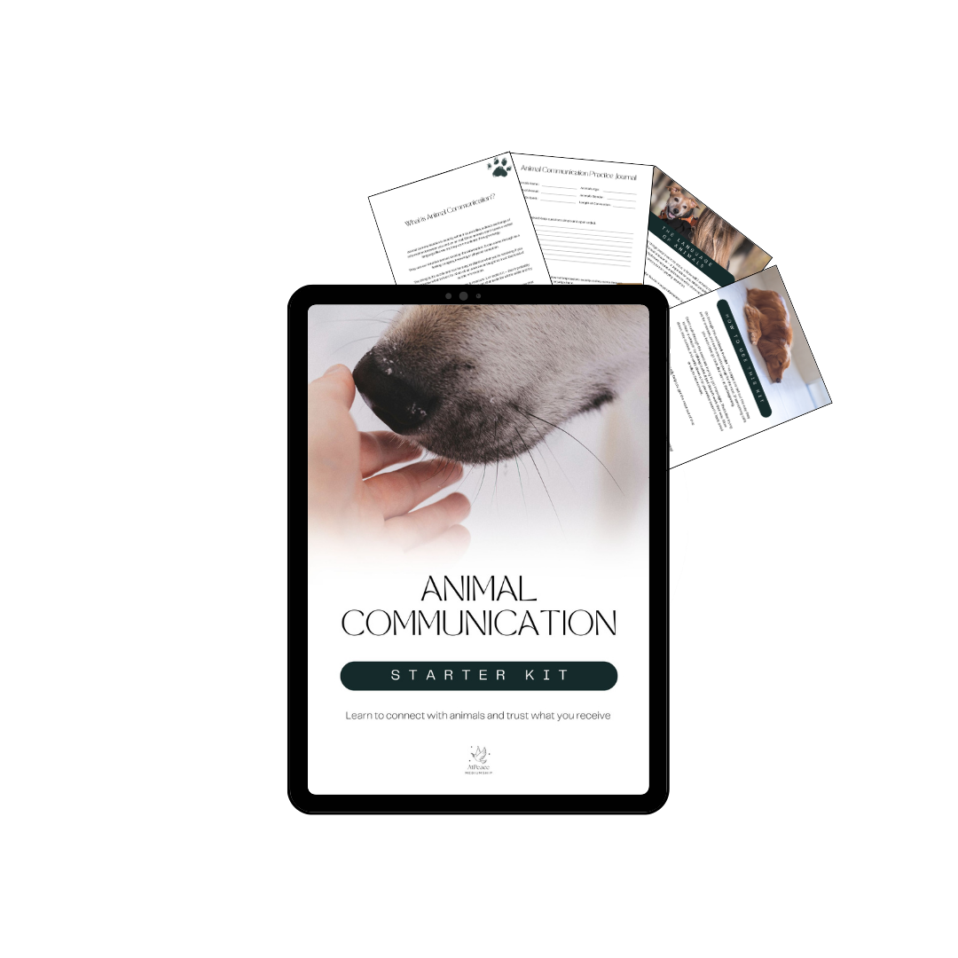 A tablet displaying an animal communication starter kit cover with a close-up of a dog's nose and a hand touching its chin, surrounded by printed pages with animal care information.