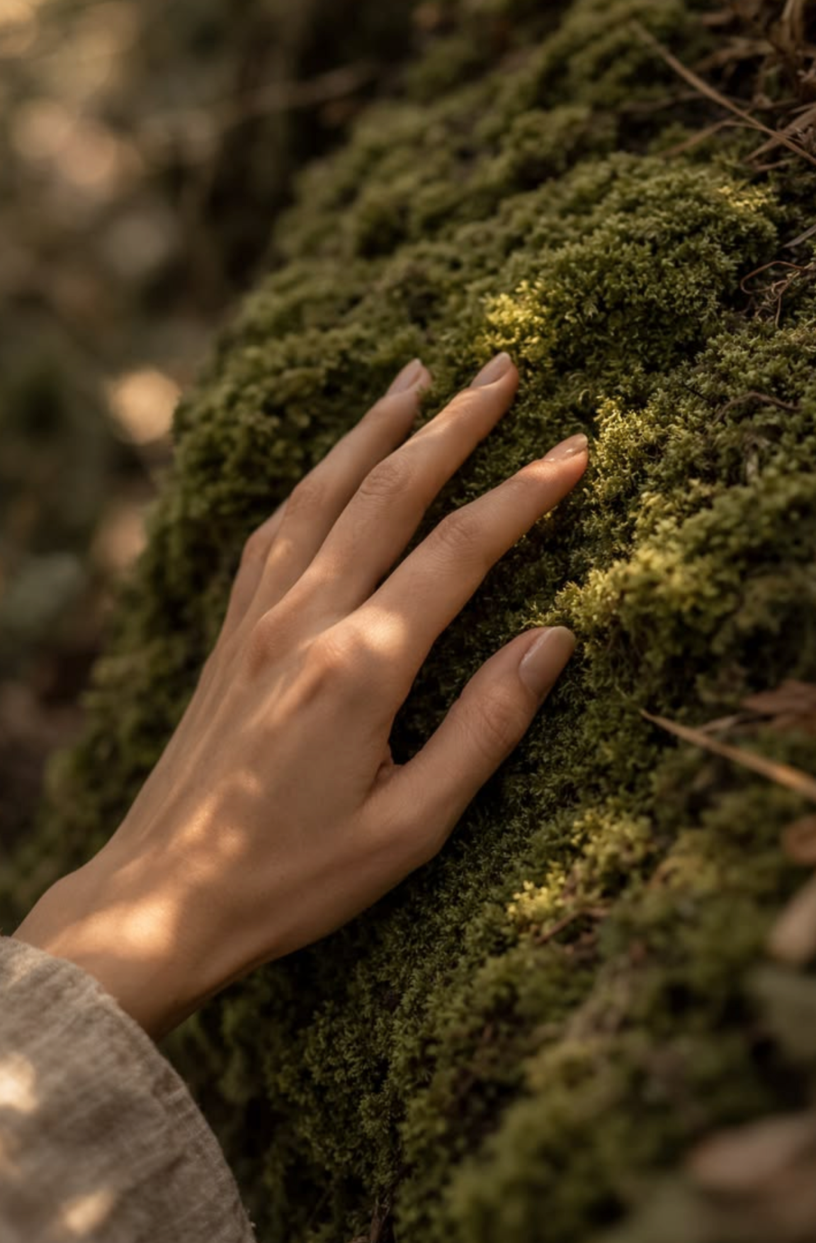 A hand with light skin is touching moss on a tree trunk in a forest, with blurred background.