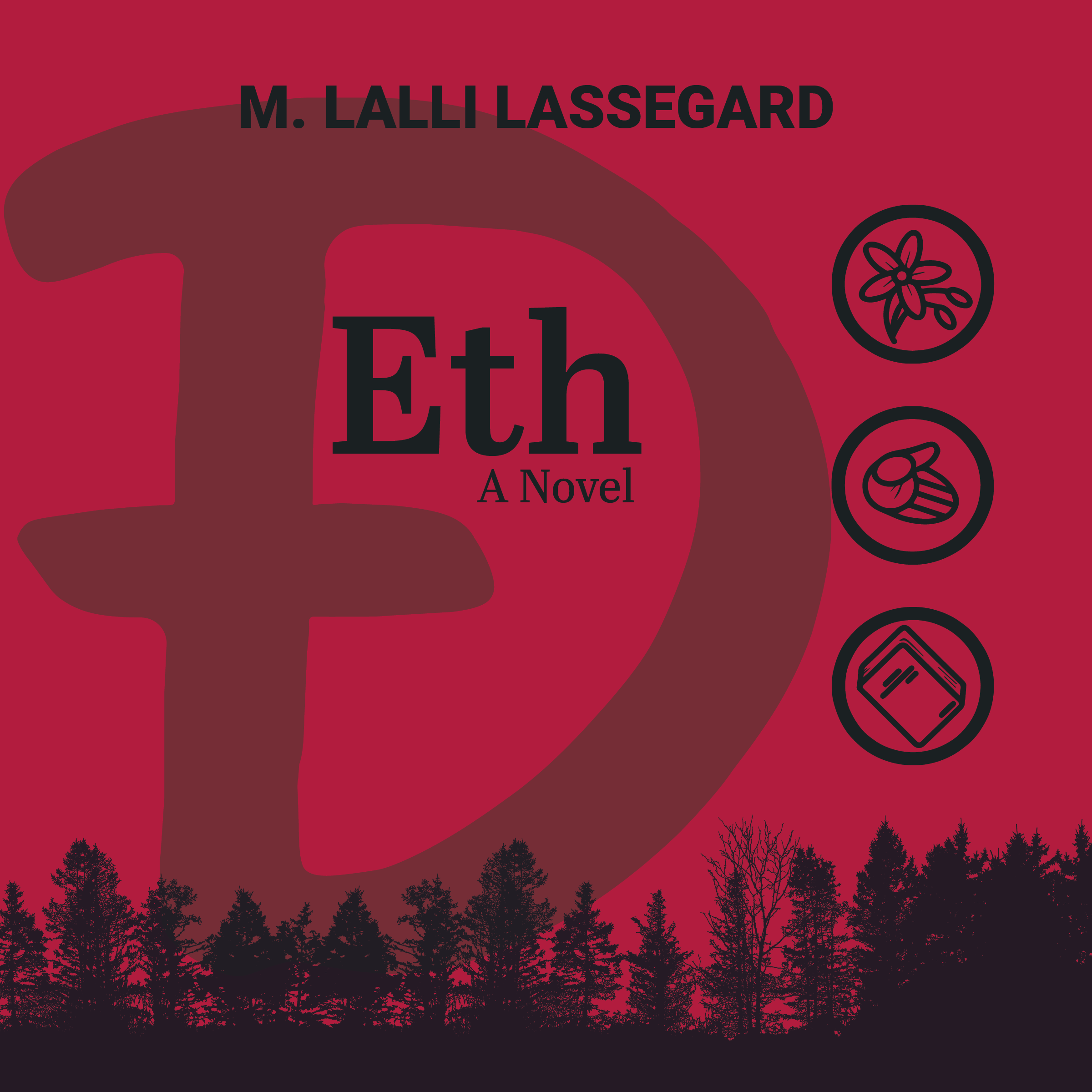 An Interview with M. Lalli Lassegard